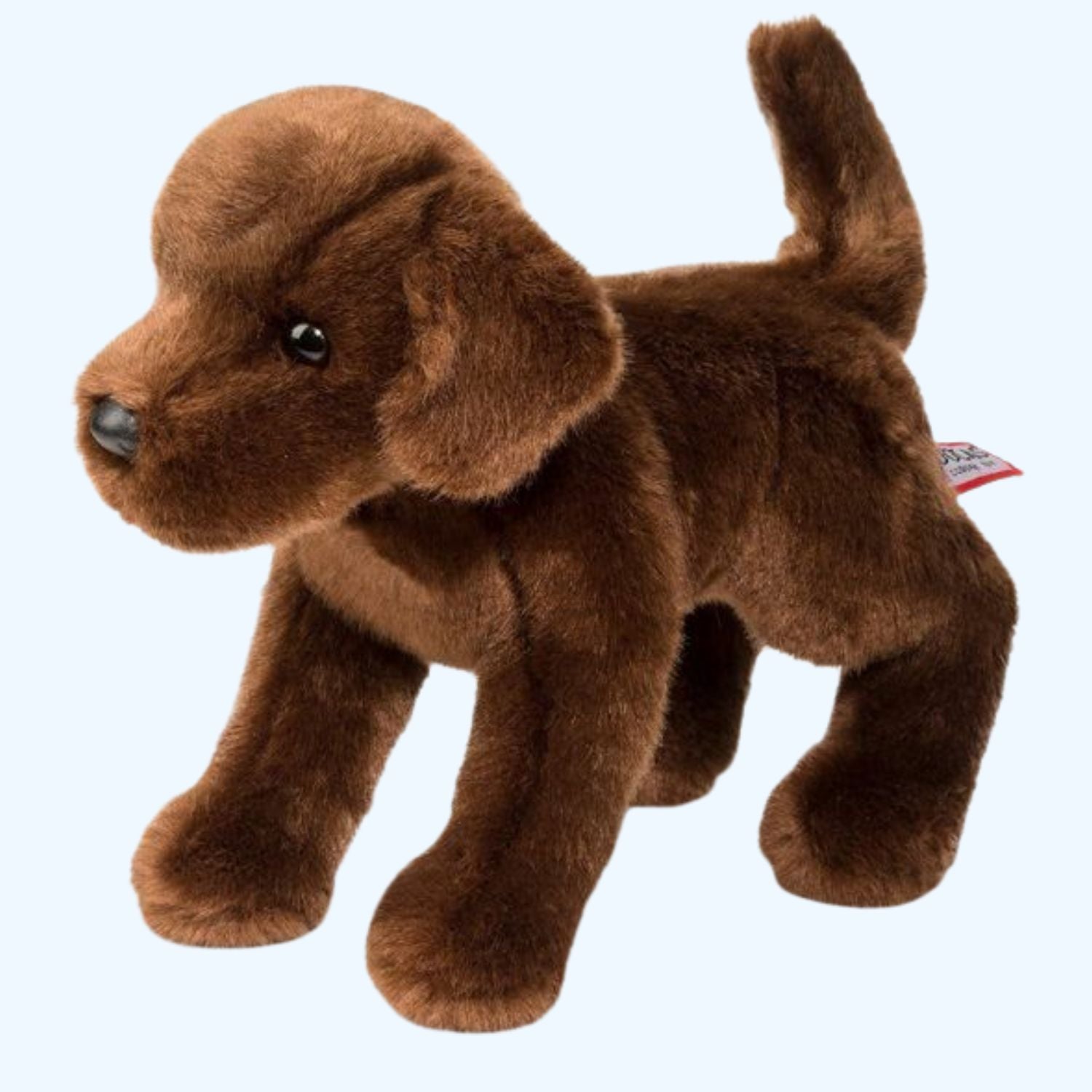 Douglas Essa C.C. Bean Chocolate Lab – UK Stock, Free UK Delivery & Fast Dispatch | ESSA UK