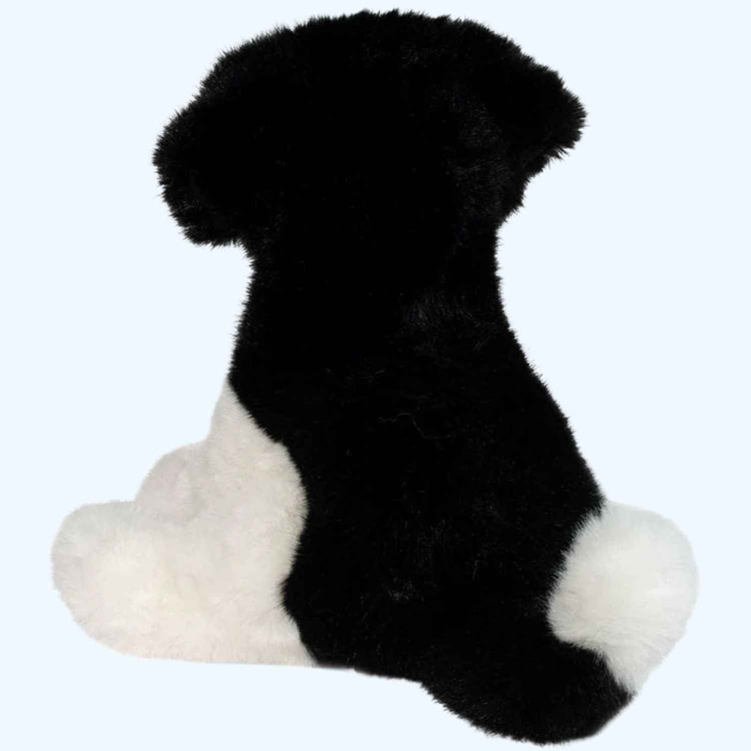 Douglas Essa Teefer Shih Tzu – UK Stock, Free UK Delivery & Fast Dispatch | ESSA UK