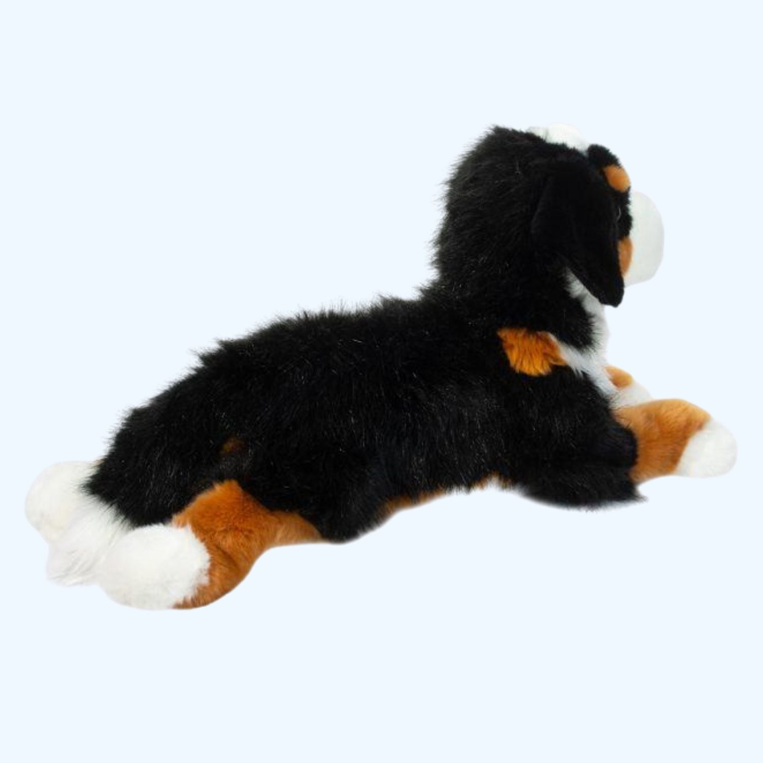 Douglas Essa Trooper DLux Bernese Mountain Dog – UK Stock, Free UK Delivery & Fast Dispatch | ESSA UK