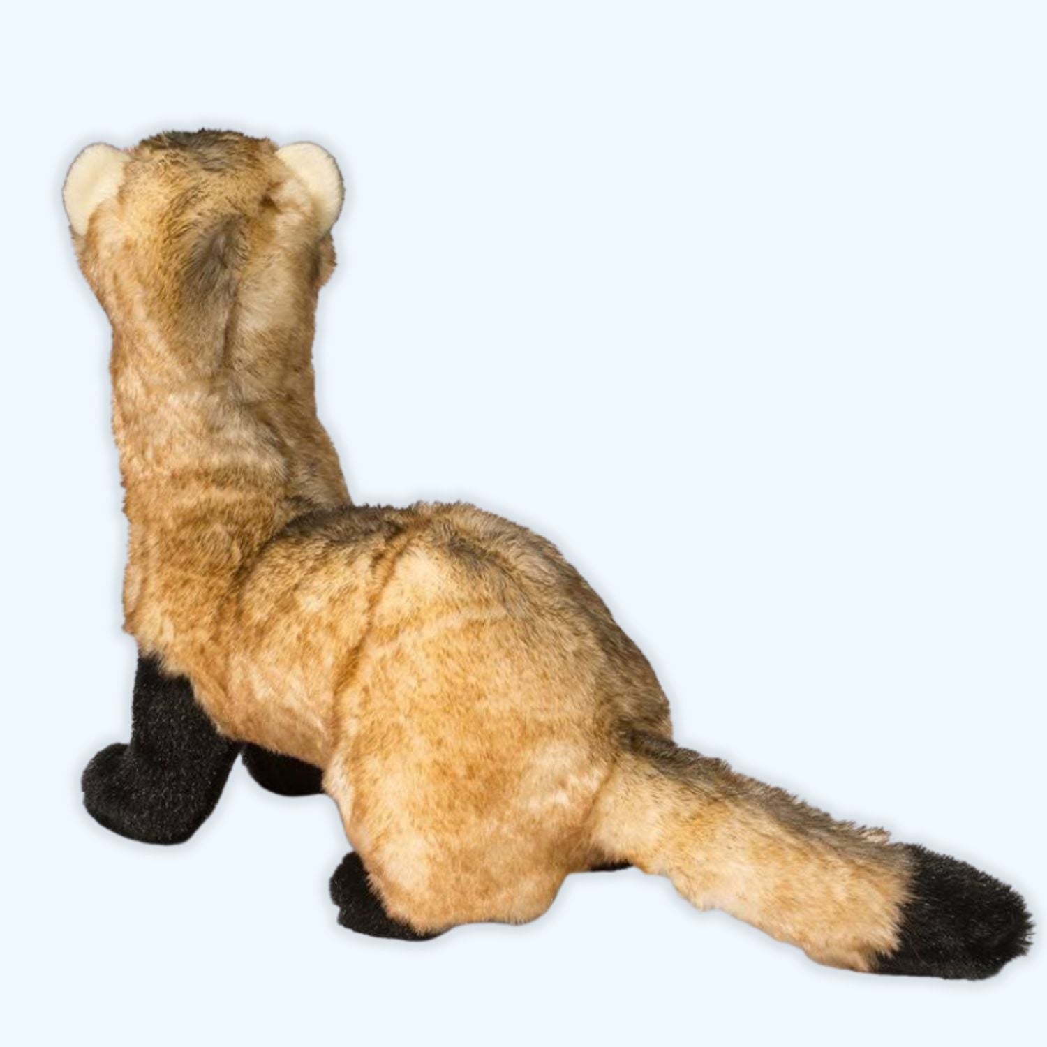 Douglas Vince Black Footed Ferret Plush – Genuine Douglas® | ESSA UK - Essa UK