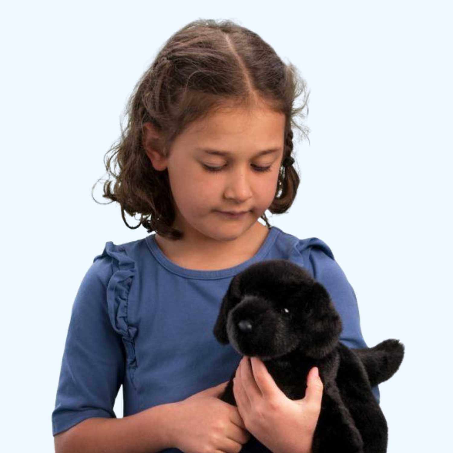 Douglas Essa Bear Black Lab Plush Dog – Genuine Douglas® | ESSA UK - Essa UK