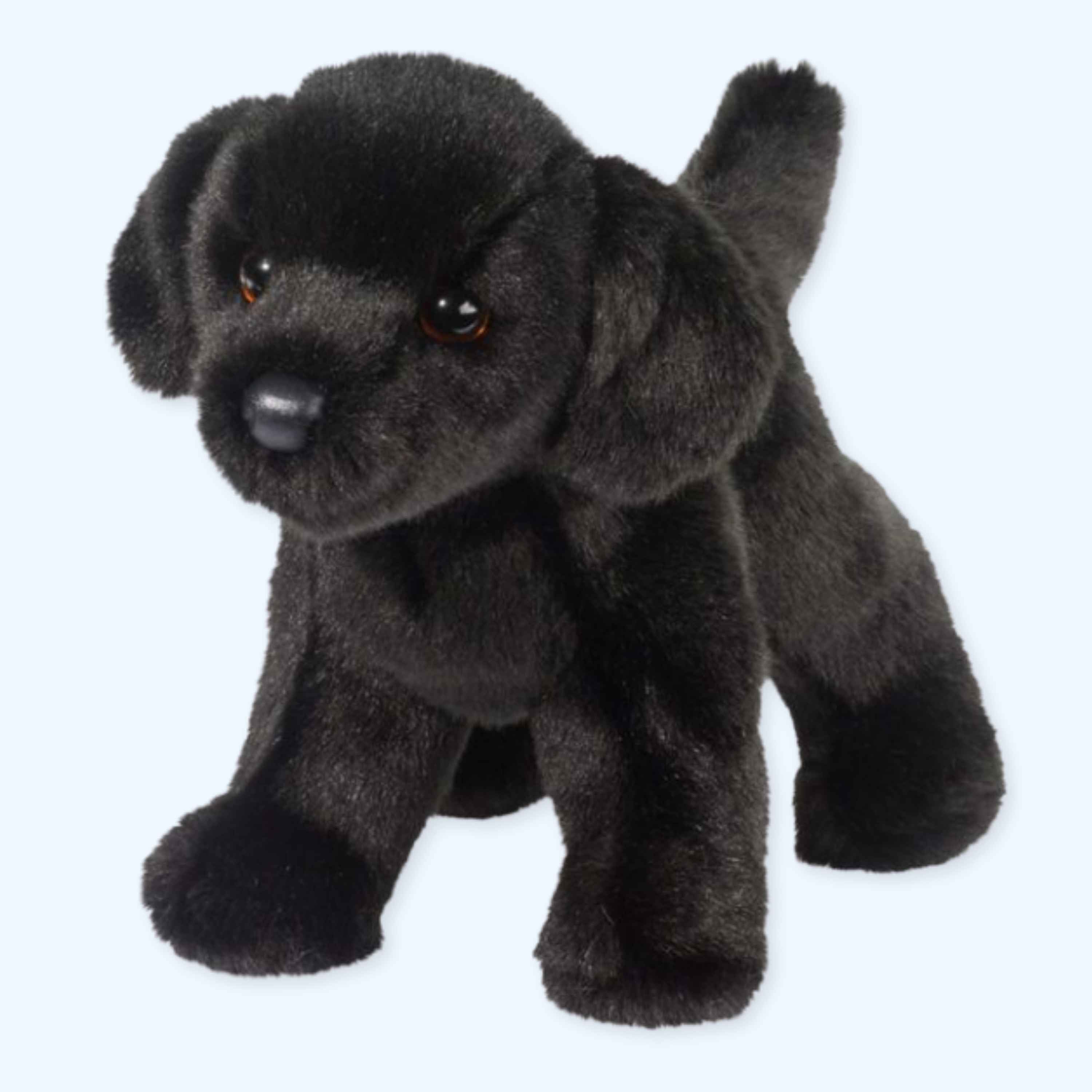 Douglas Bear Black Lab Plush Dog – Genuine Douglas® | ESSA UK