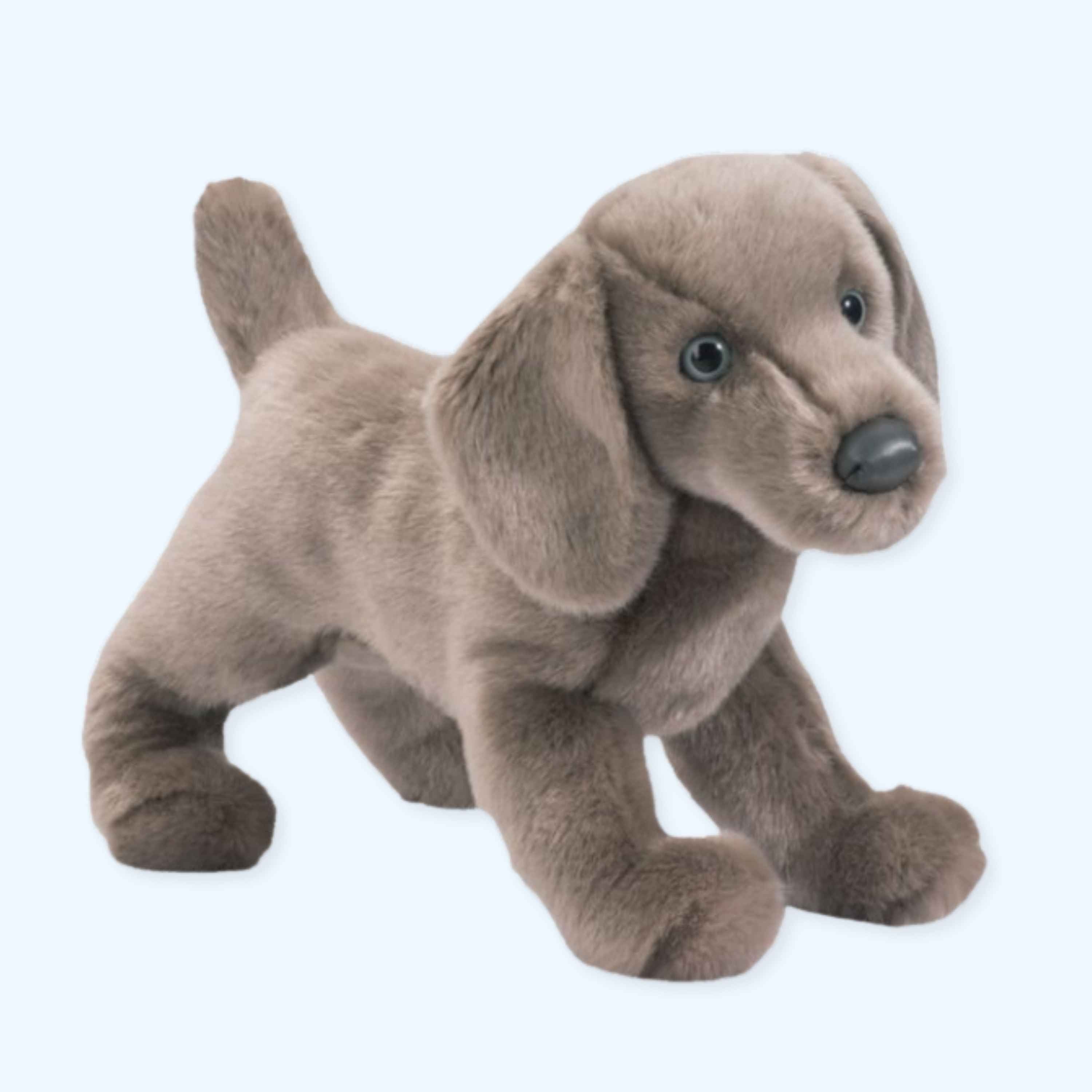 Douglas Cassie Weimaraner Plush Dog – Genuine Douglas® | ESSA UK
