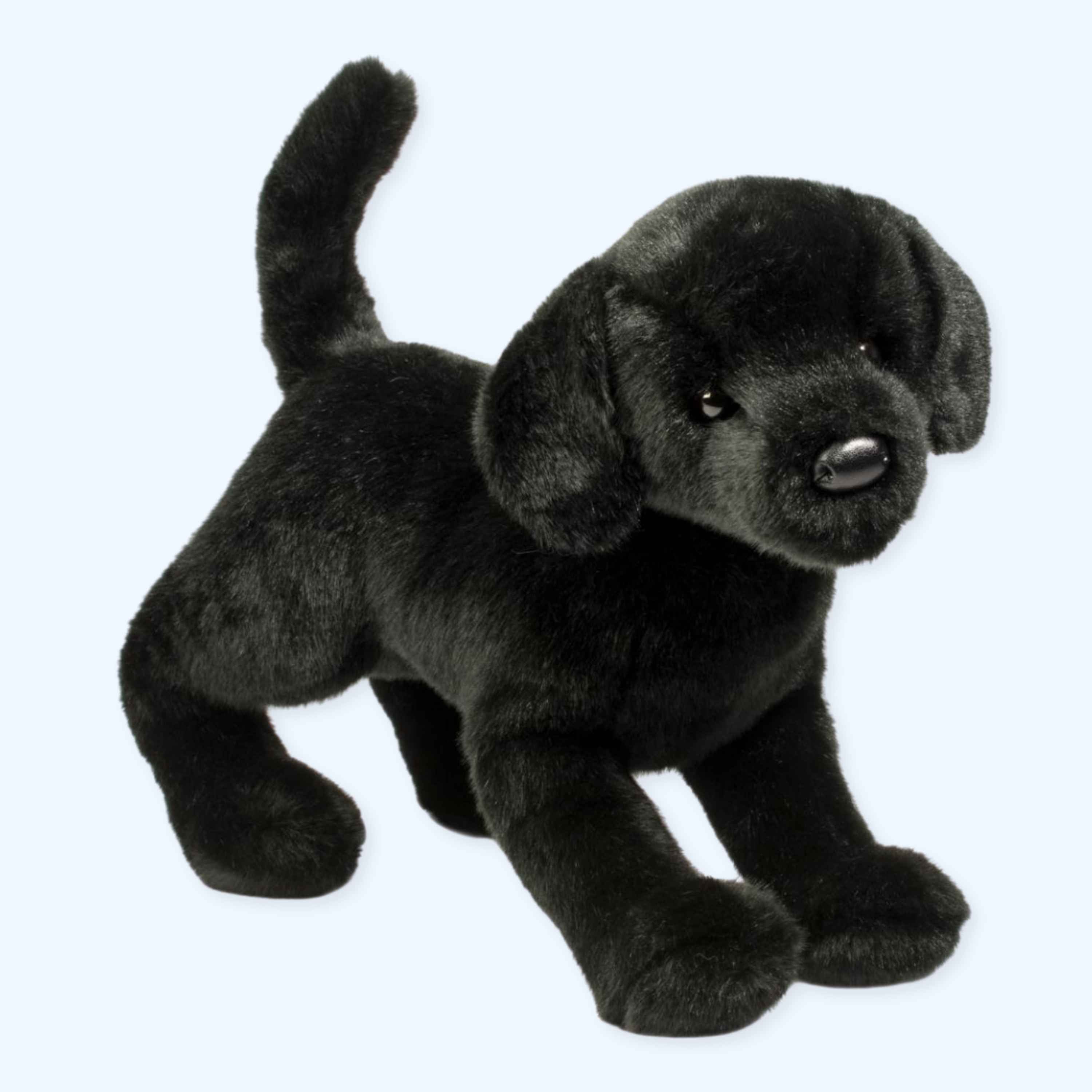 Douglas Chester Black Lab Plush Dog – Genuine Douglas® | ESSA UK