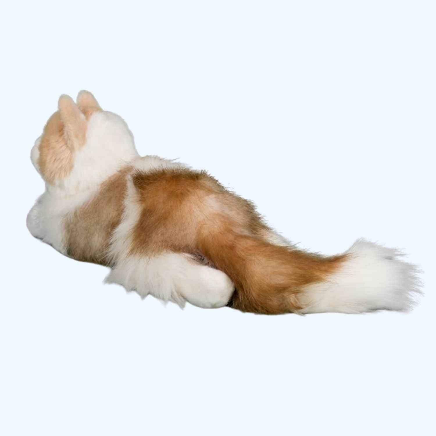 Douglas Essa Kiki Ragdoll Cat Plush – Genuine Douglas® | ESSA UK