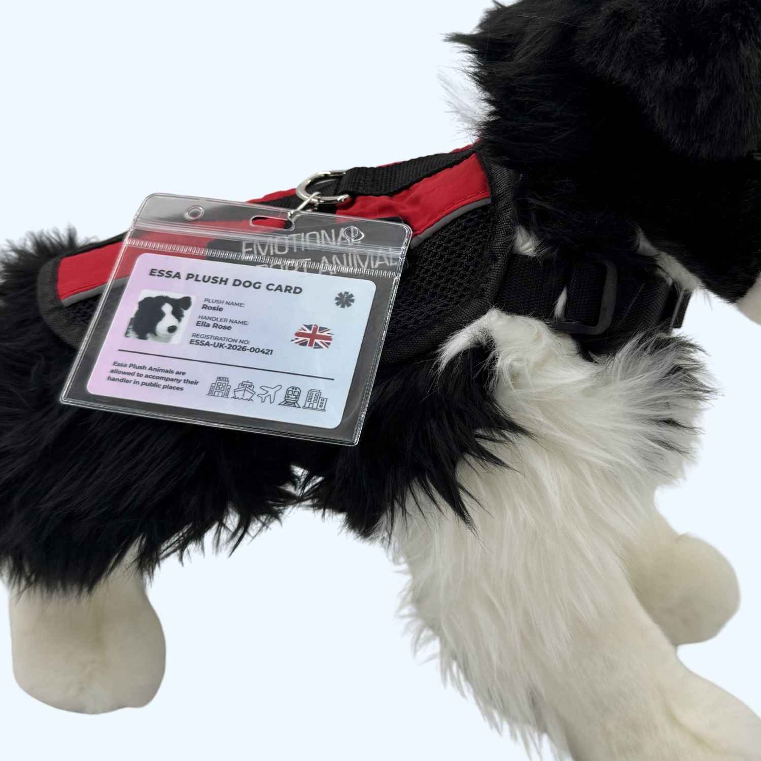 ESSA UK Plush Dog Card – Personalised Companion ID Card