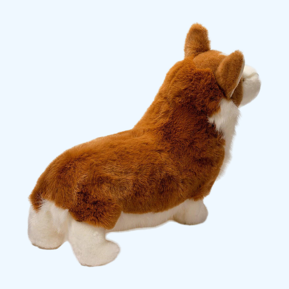 Chadwick Corgi Douglas plush seen from behind at an angle, with a fluffy russet back