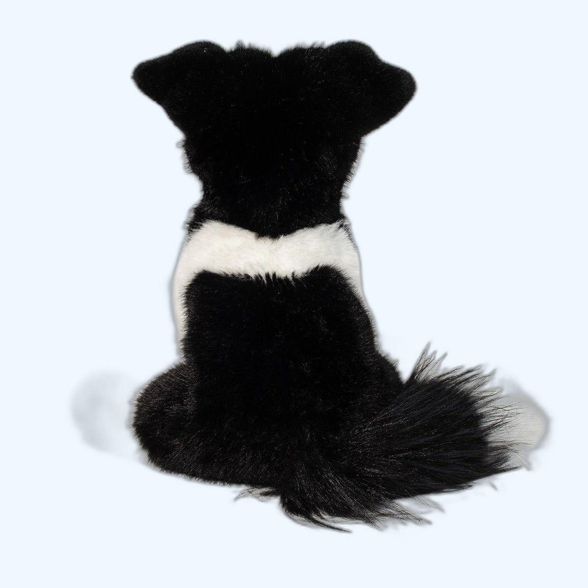 Douglas Essa Herdie Soft Border Collie – ESSA UK