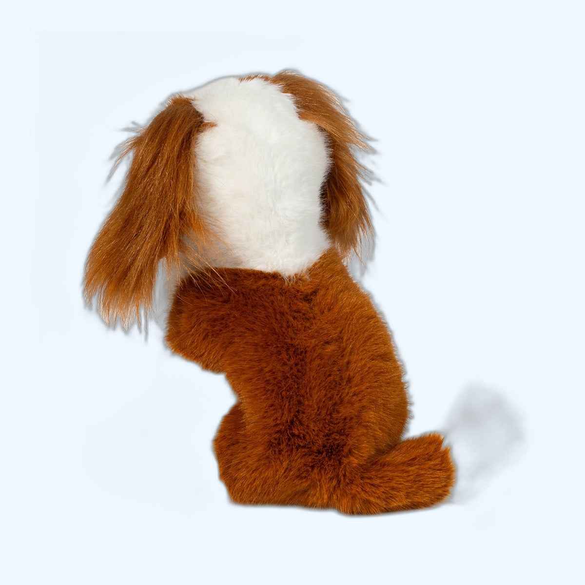 Douglas Essa Kingsley Cavalier King Charles Spaniel – UK Stock, Free UK Delivery & Fast Dispatch | ESSA UK