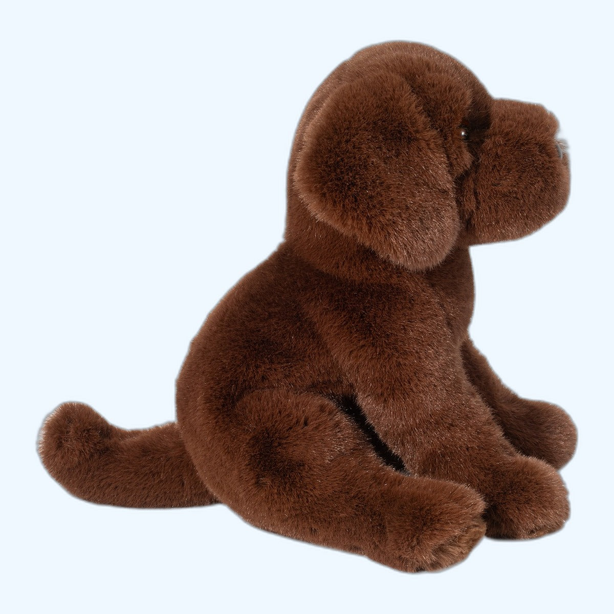 Douglas Essa Zoom Chocolate Lab – ESSA UK