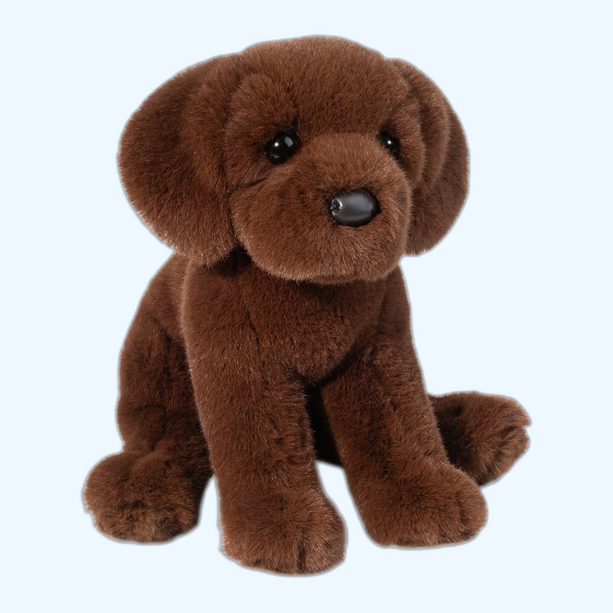 Douglas Essa Zoom Chocolate Lab – ESSA UK