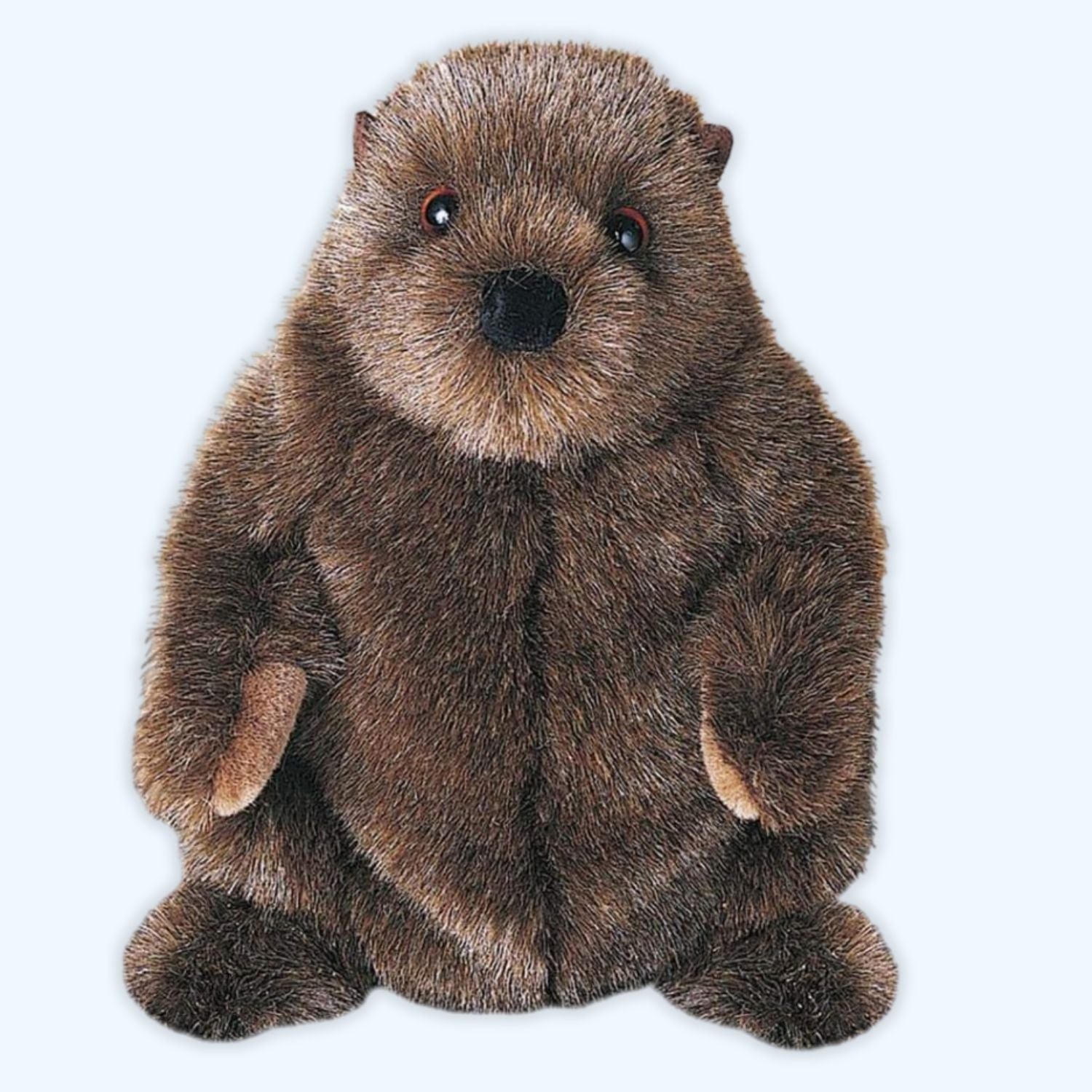 Douglas Essa Chuckwood Groundhog Plush – Genuine Douglas® | ESSA UK - Essa UK