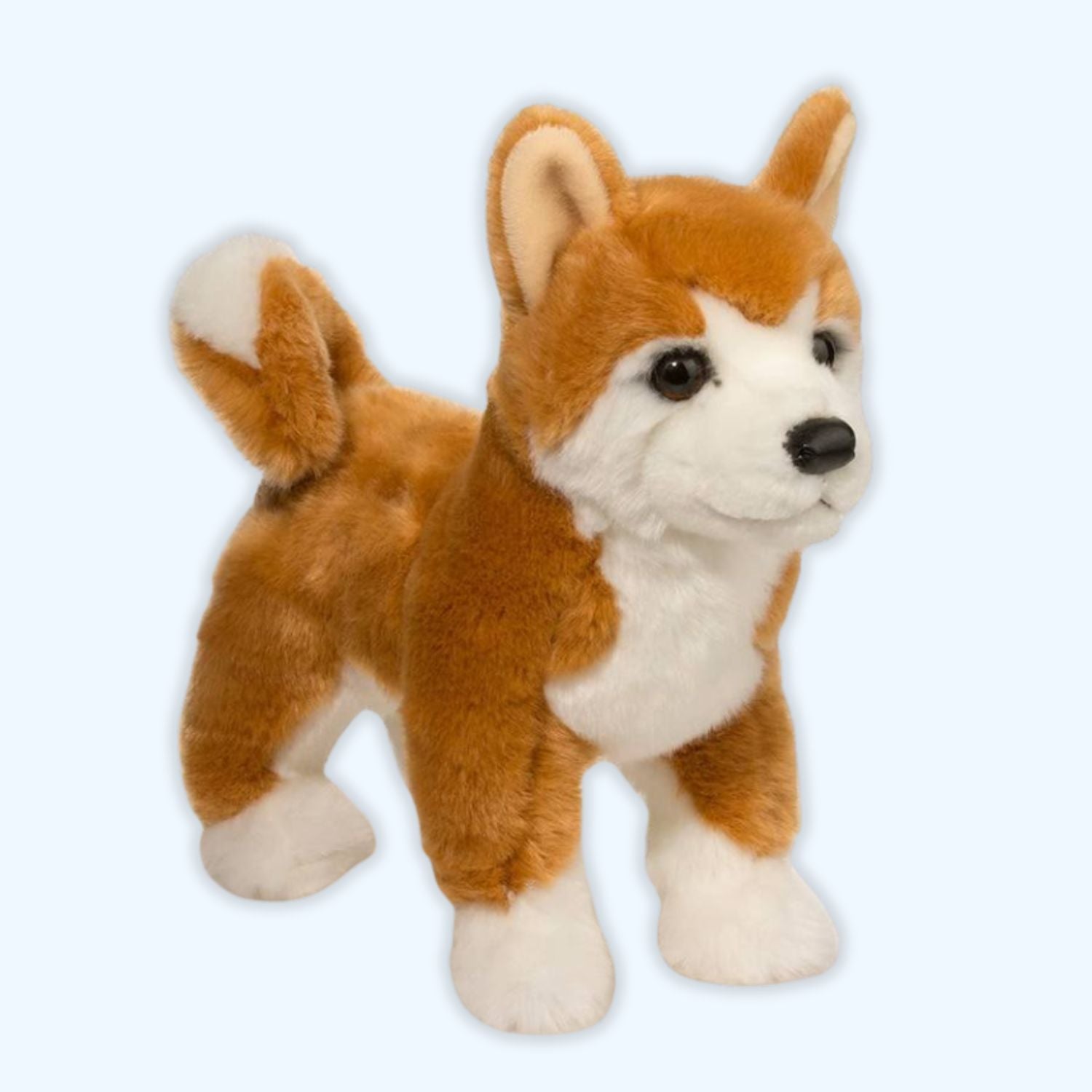 Douglas Essa Dunham Shiba Inu Dog Plush – Genuine Douglas® | ESSA UK - Essa UK