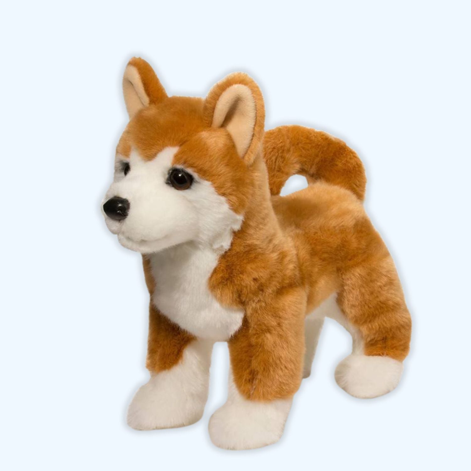 Douglas Essa Dunham Shiba Inu Dog Plush – Genuine Douglas® | ESSA UK - Essa UK