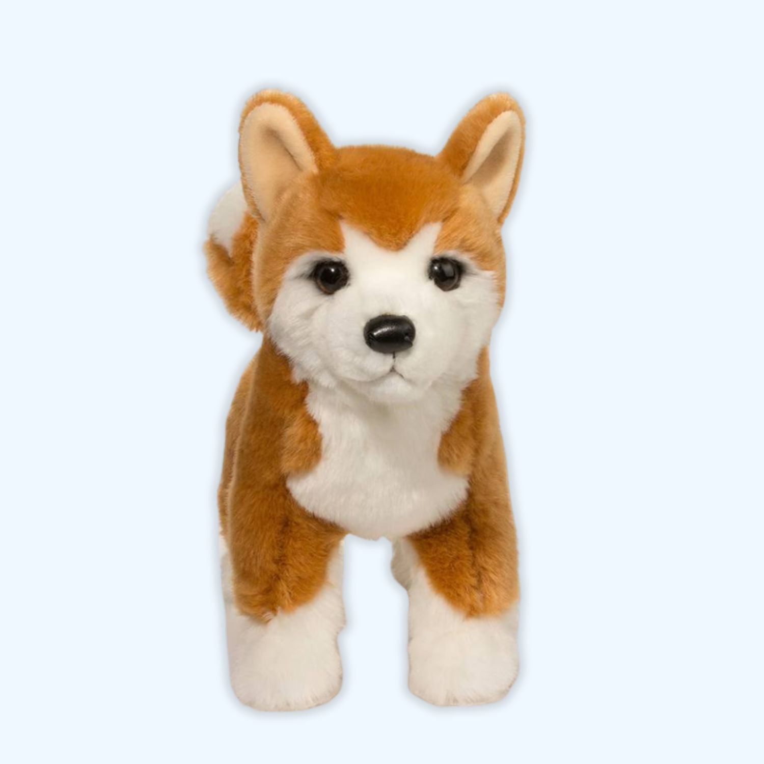Douglas Essa Dunham Shiba Inu Dog Plush – Genuine Douglas® | ESSA UK - Essa UK