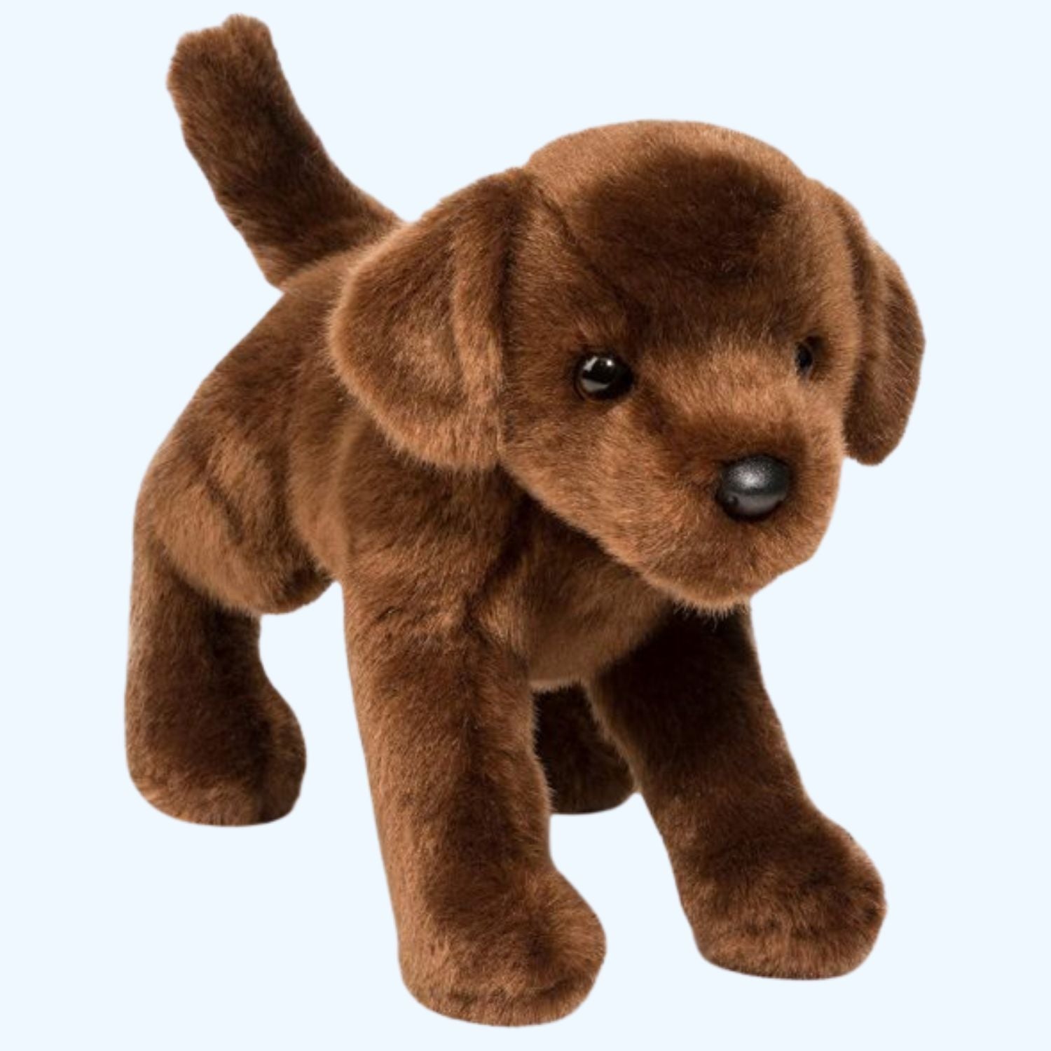 Douglas Essa C.C. Bean Chocolate Lab – UK Stock, Free UK Delivery & Fast Dispatch | ESSA UK