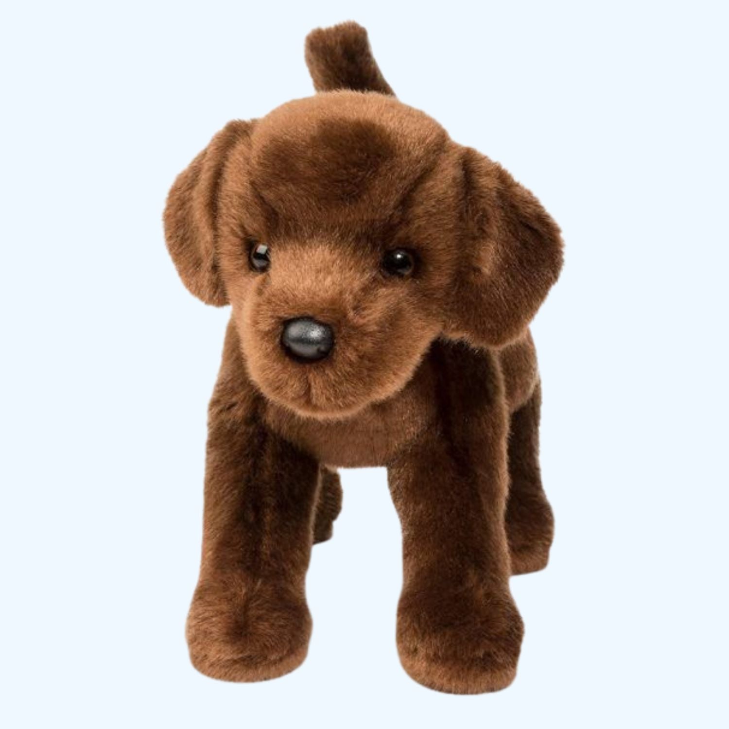 Douglas Essa C.C. Bean Chocolate Lab – UK Stock, Free UK Delivery & Fast Dispatch | ESSA UK