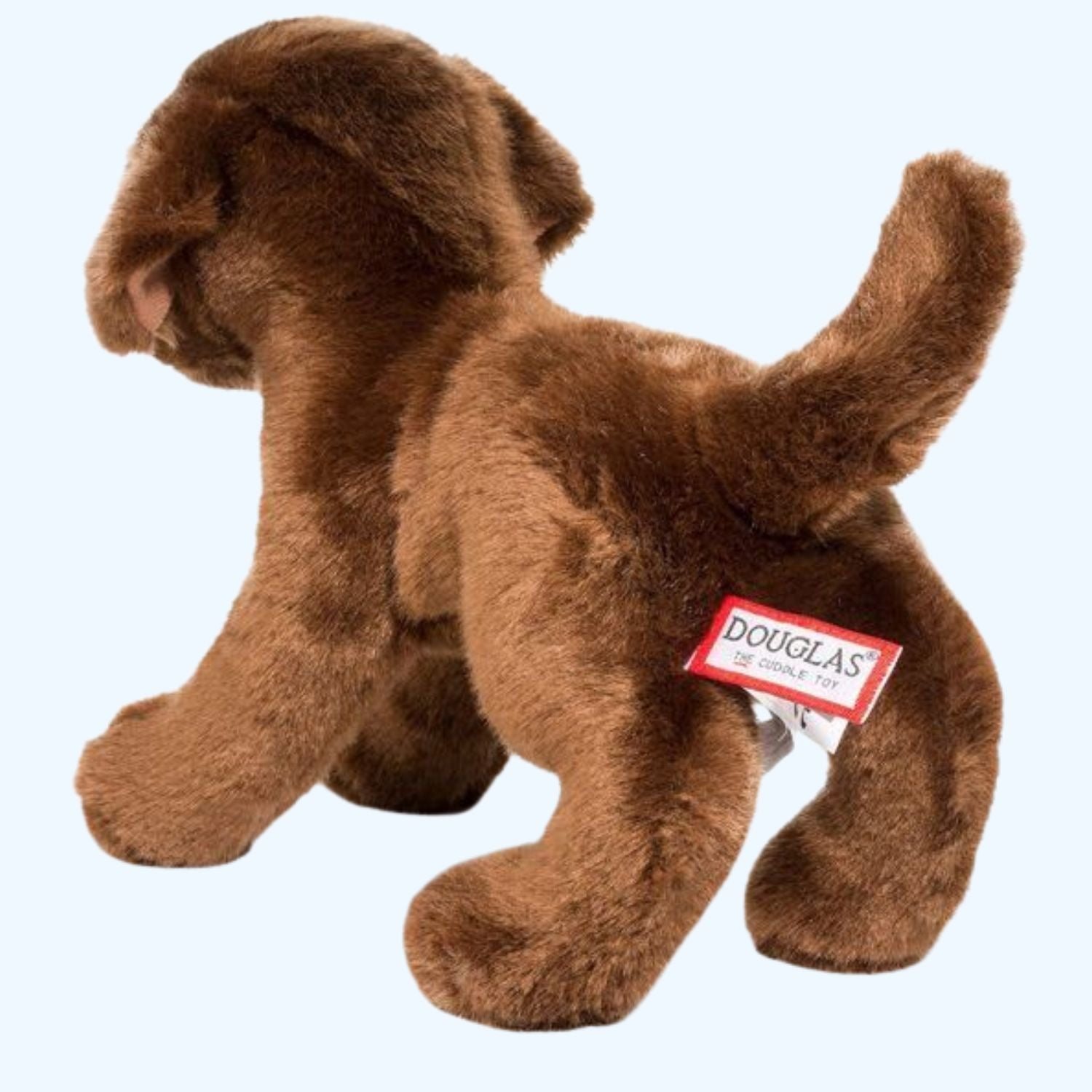 Douglas Essa C.C. Bean Chocolate Lab – UK Stock, Free UK Delivery & Fast Dispatch | ESSA UK