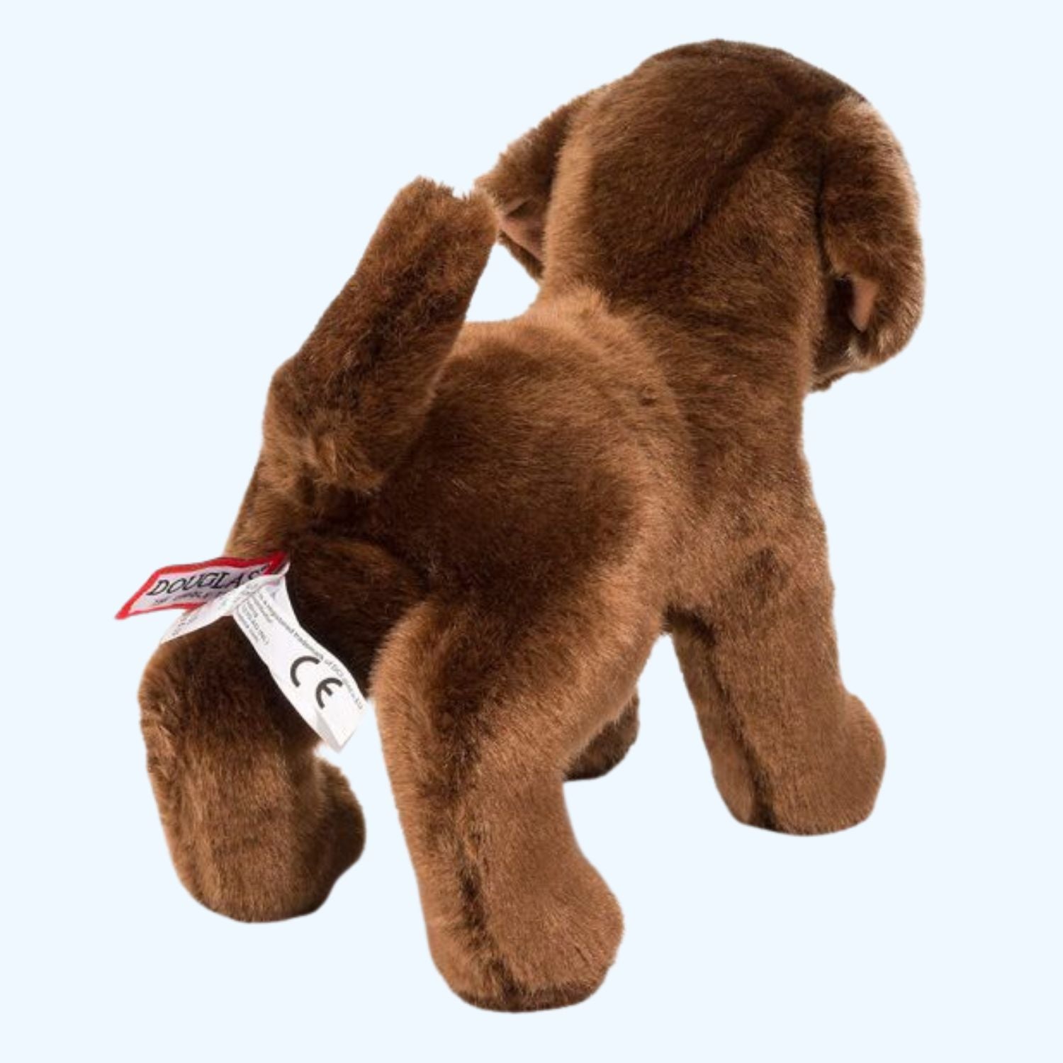 Douglas Essa C.C. Bean Chocolate Lab – UK Stock, Free UK Delivery & Fast Dispatch | ESSA UK