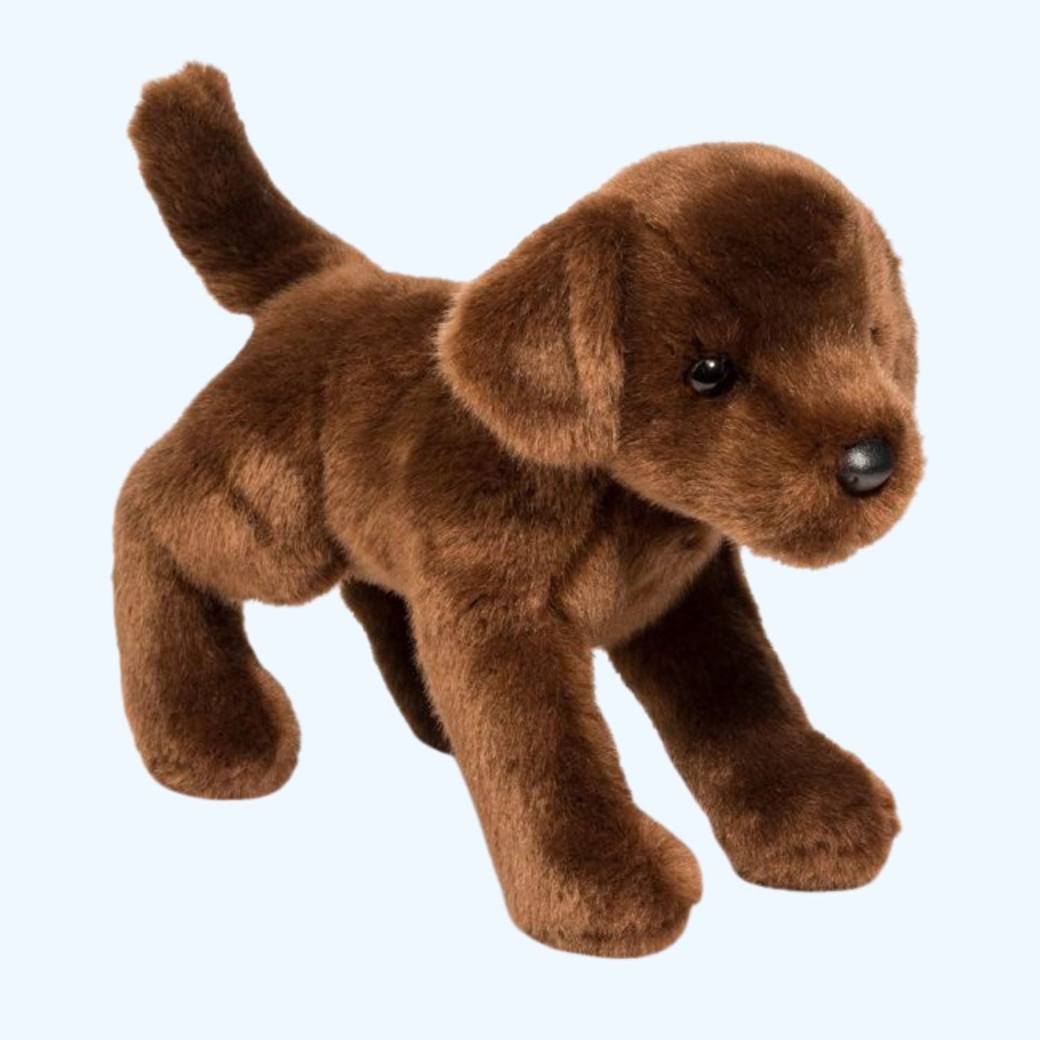Douglas Essa C.C. Bean Chocolate Lab – UK Stock, Free UK Delivery & Fast Dispatch | ESSA UK