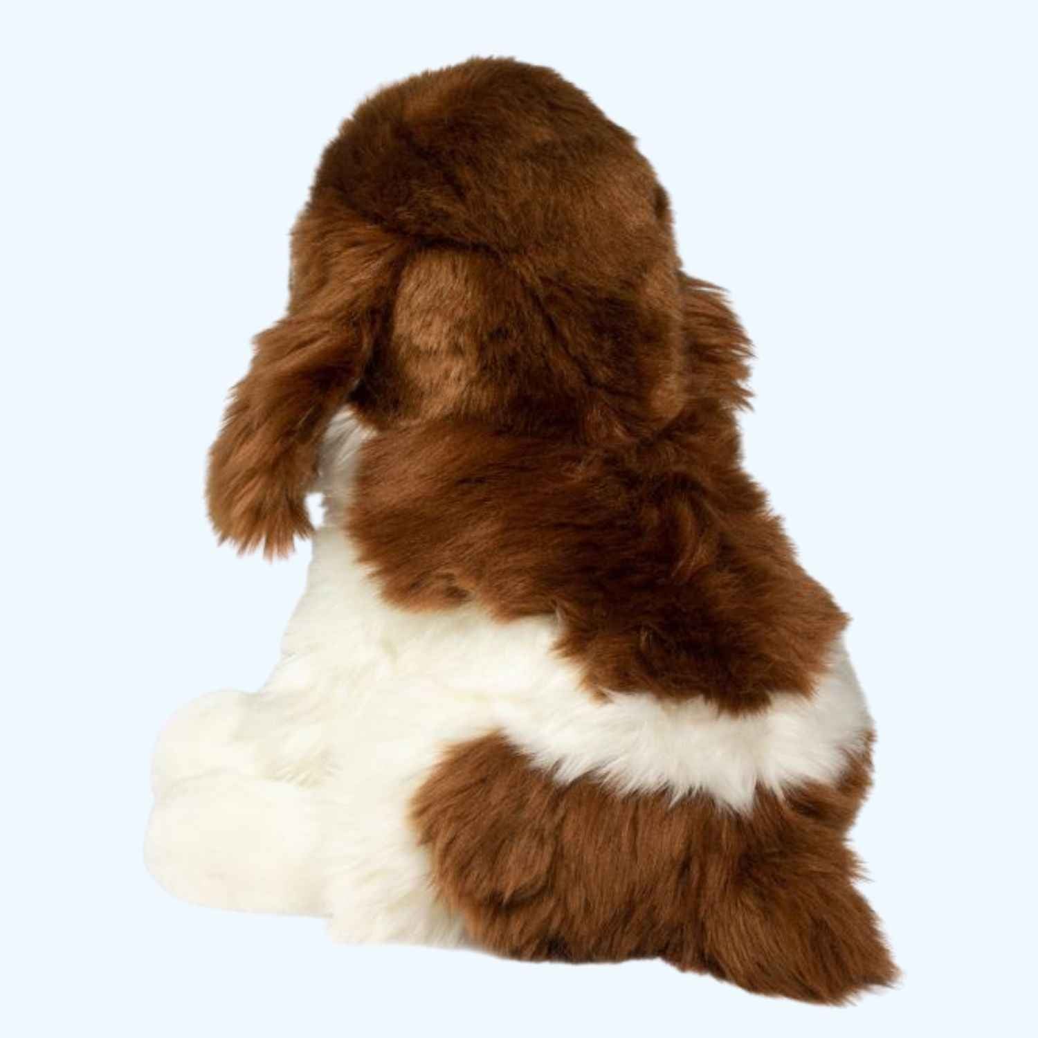 Douglas Essa Chip Springer Spaniel – UK Stock, Free UK Delivery & Fast Dispatch | ESSA UK