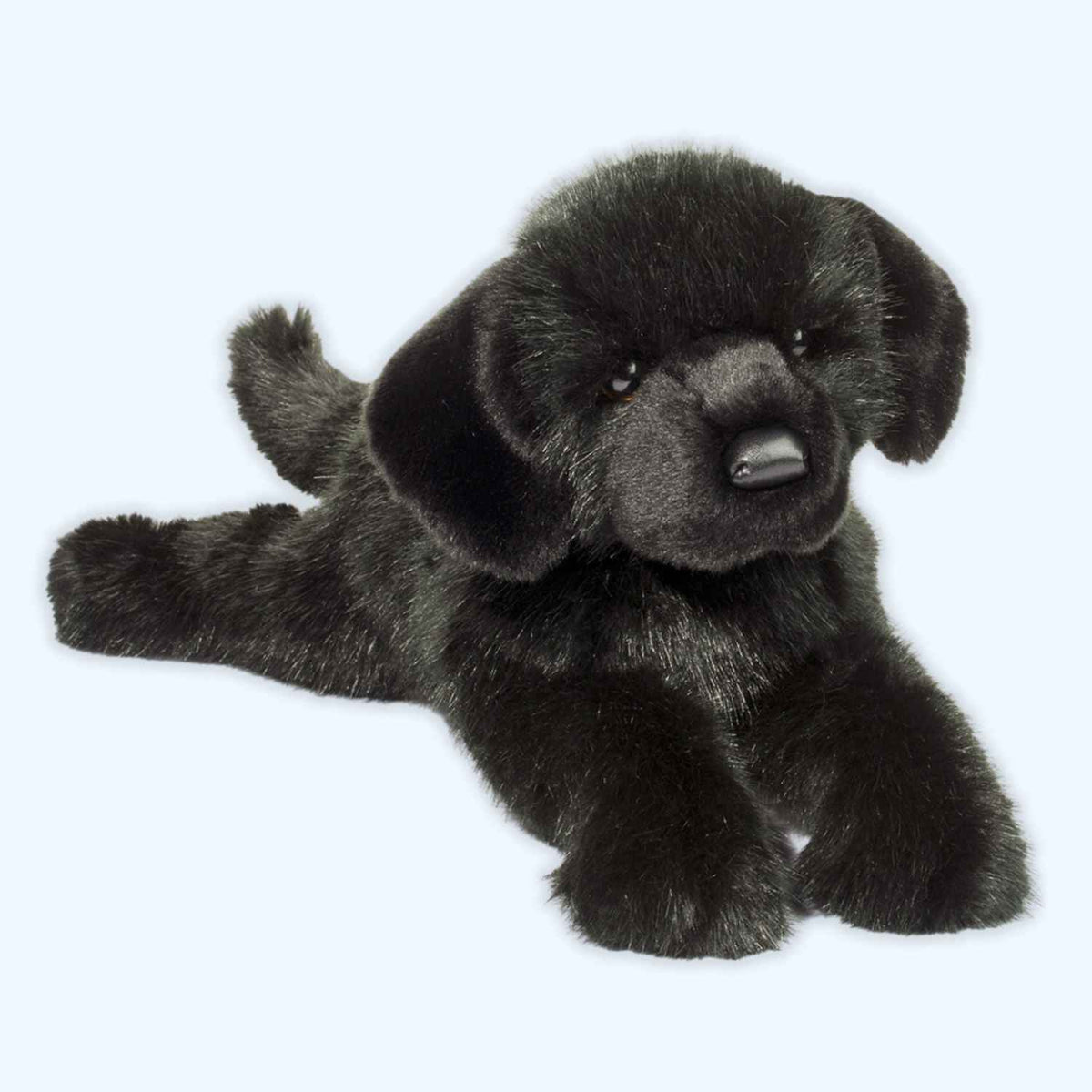 Douglas Jake DLux Black Lab | Douglas Essa | UK Stock | ESSA UK