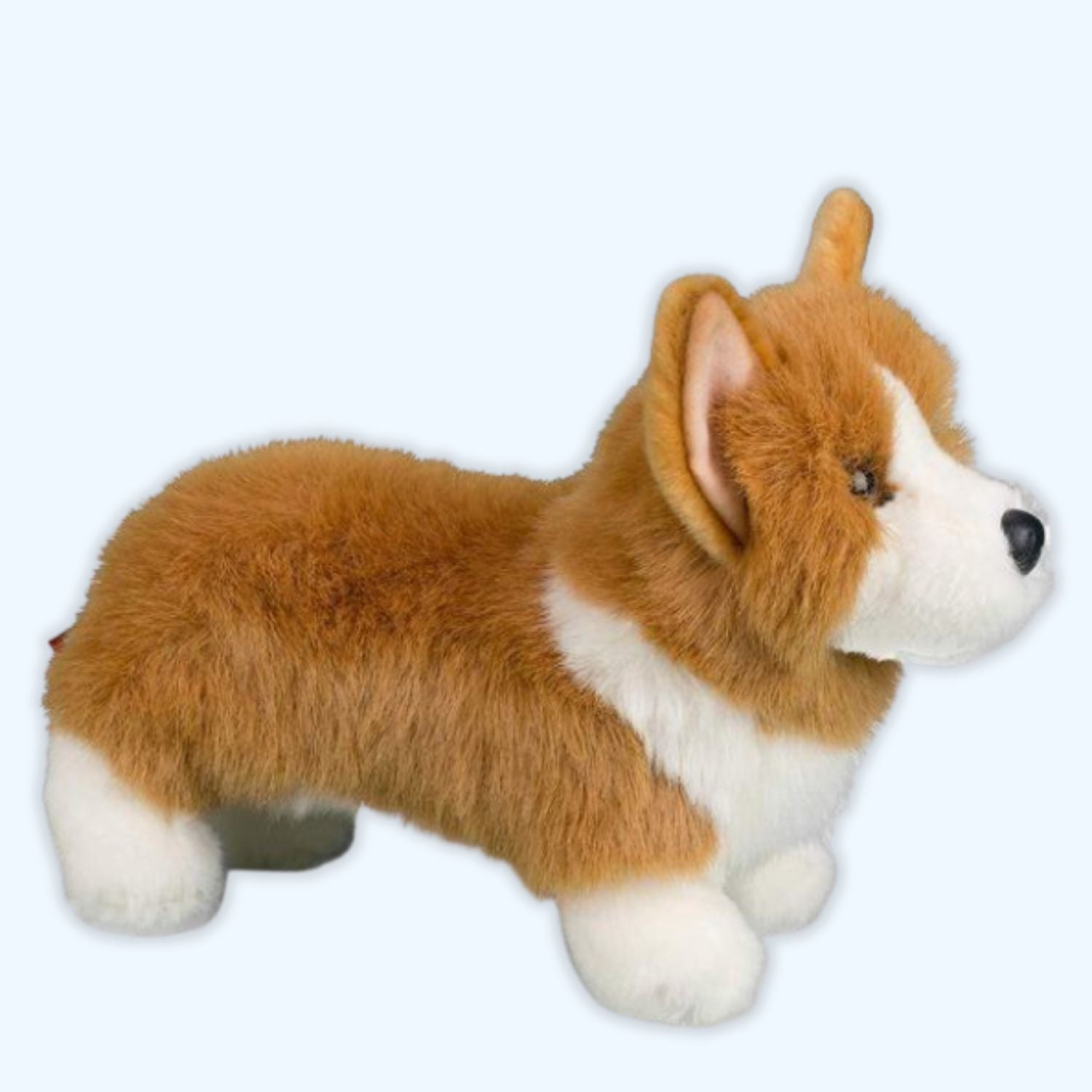 Douglas Louie Corgi Plush Dog – Genuine Douglas® | ESSA UK - Essa UK