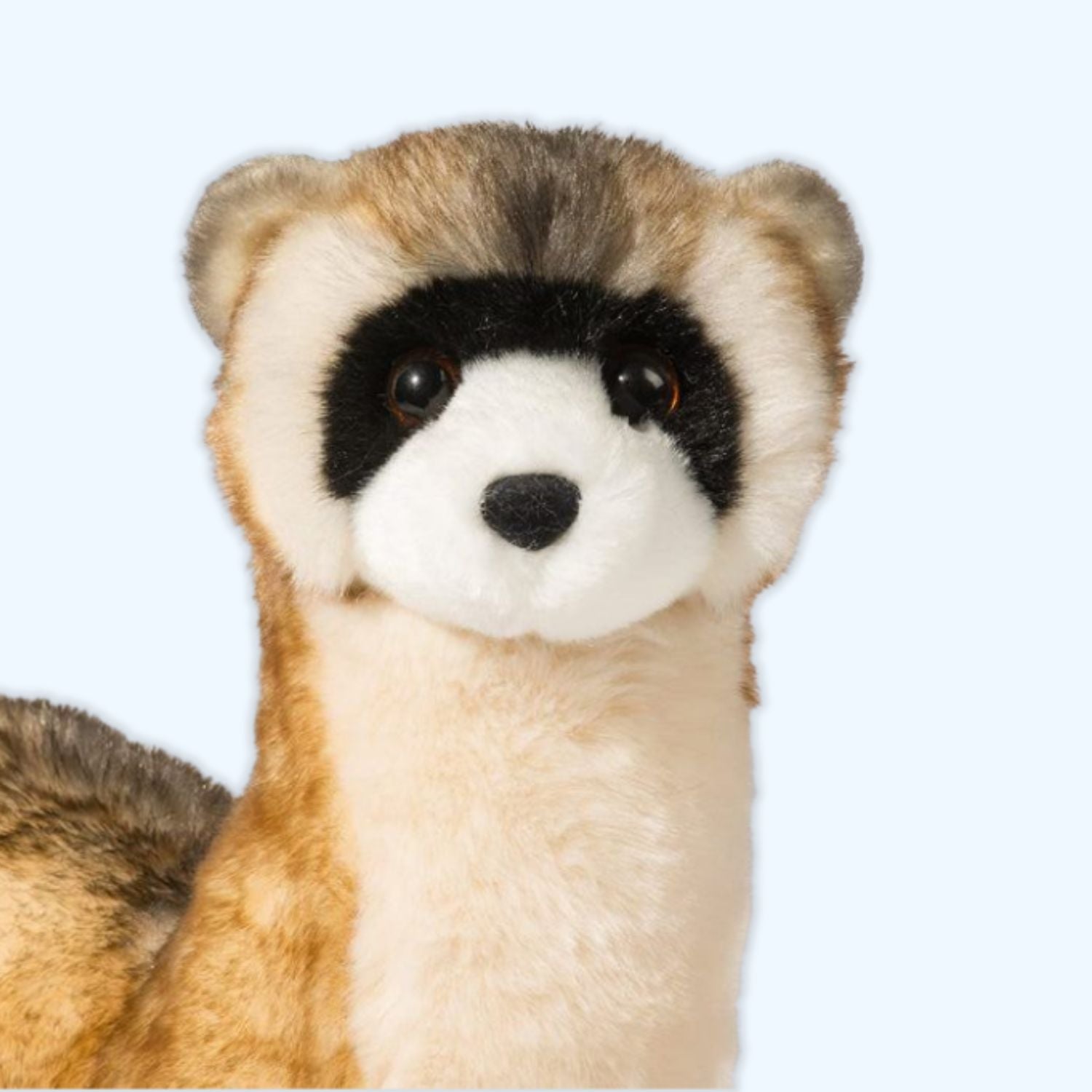 Douglas Vince Black Footed Ferret Plush – Genuine Douglas® | ESSA UK - Essa UK