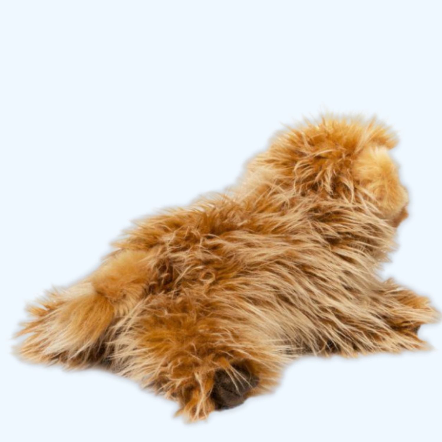 Douglas Wallace DLux Highland Cow Plush – Genuine Douglas® | ESSA UK - Essa UK