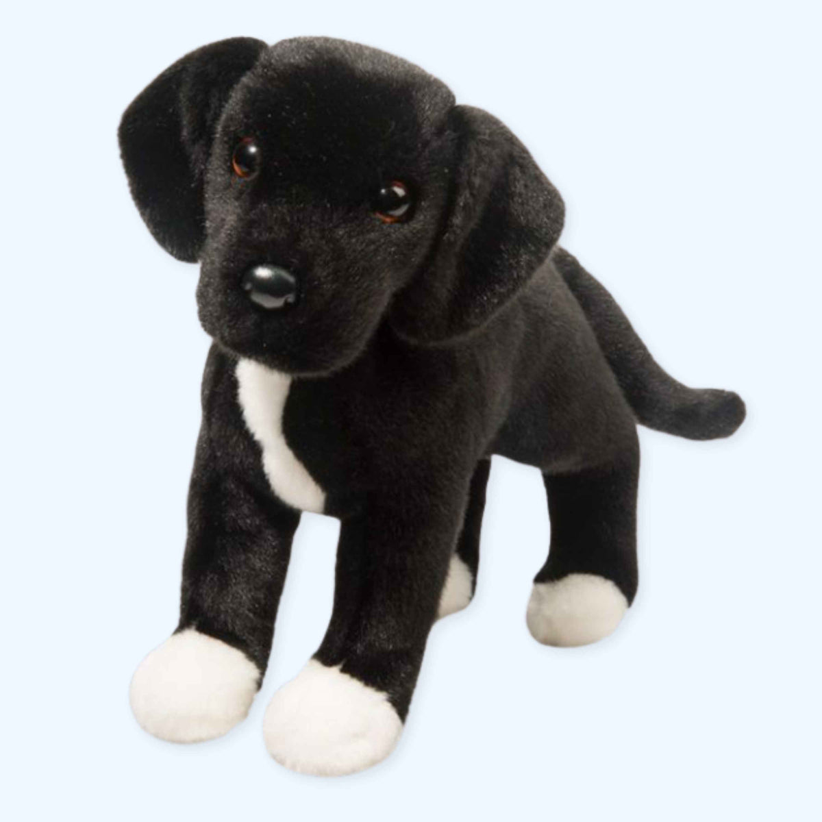 Douglas Twister Black Lab/Pit Bull Mix | Douglas Essa | UK Stock | ESSA UK