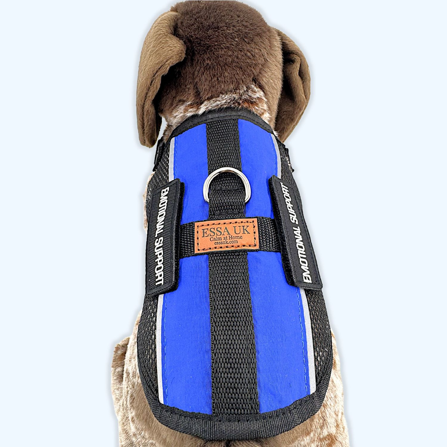 ESSA UK Blue Lightweight Summer Grid Harness for ESSA – for Medium & Large Essa | ESSA UK