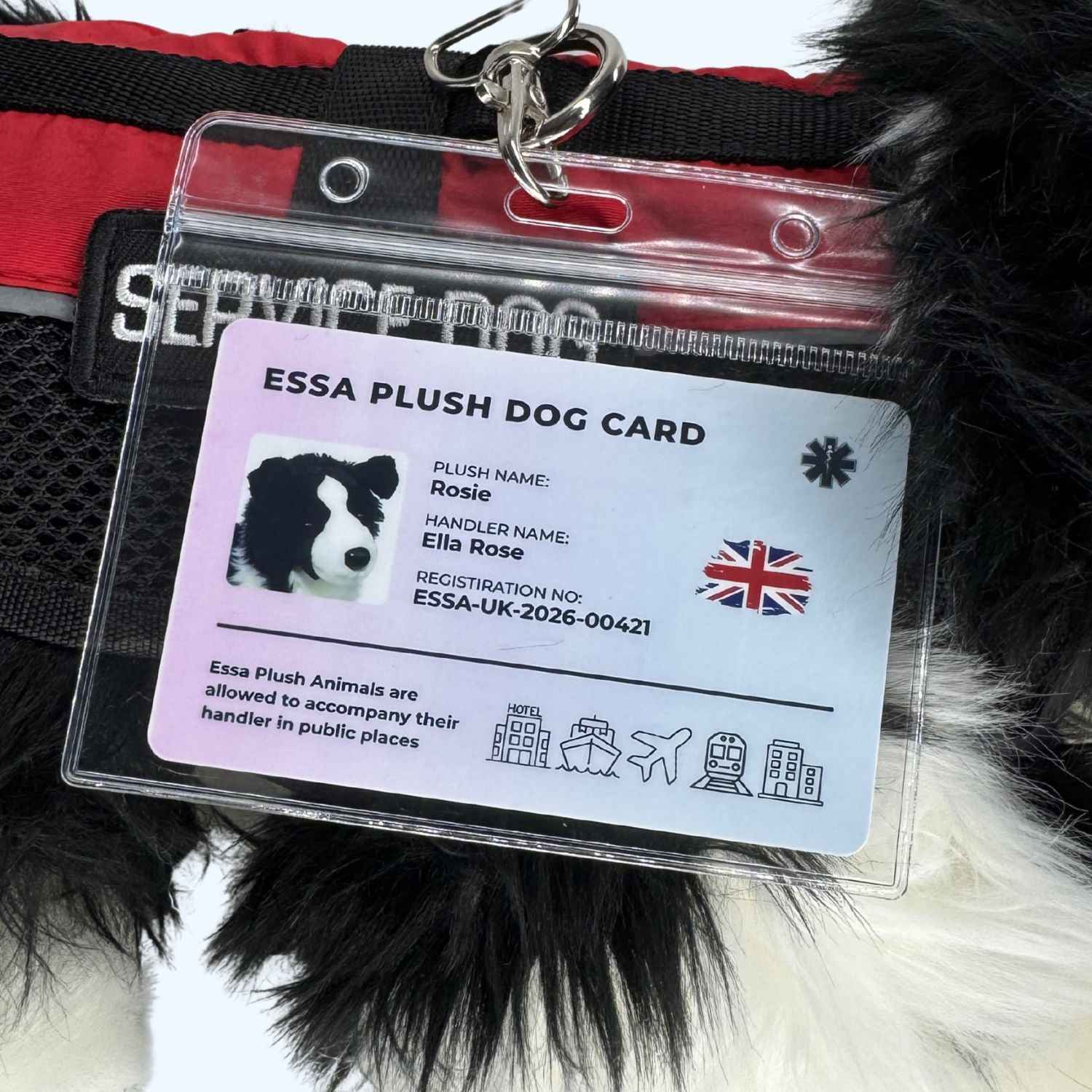 ESSA UK Plush Dog Card – Personalised Companion ID Card
