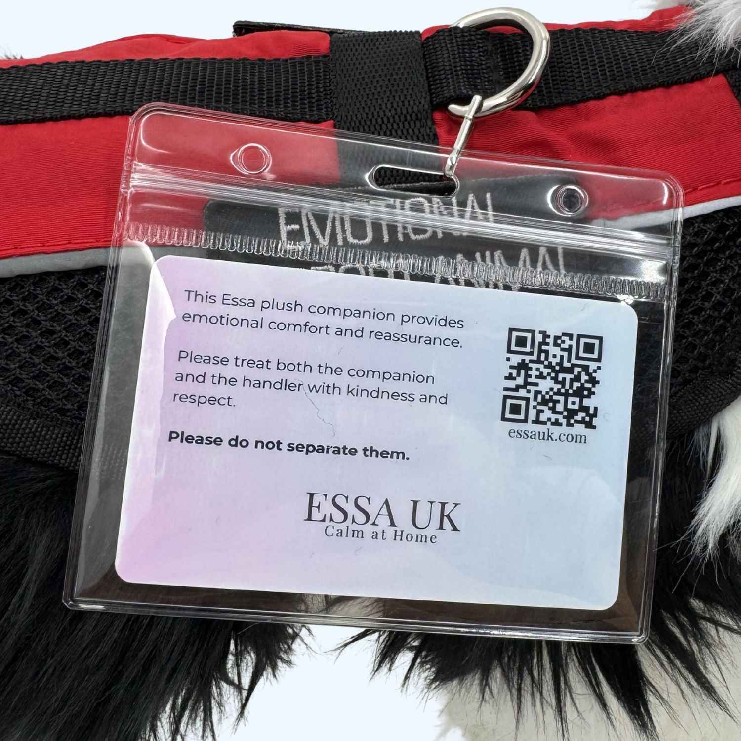 ESSA UK Plush Dog Card – Personalised Companion ID Card