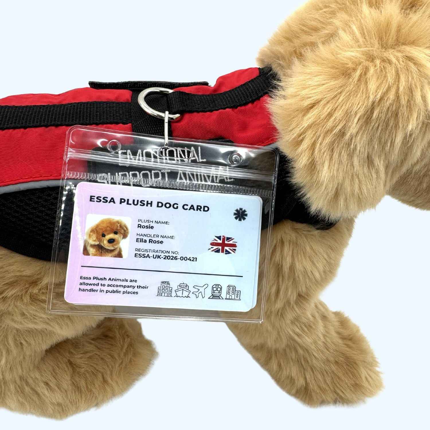 ESSA UK Plush Dog Card – Personalised Companion ID Card