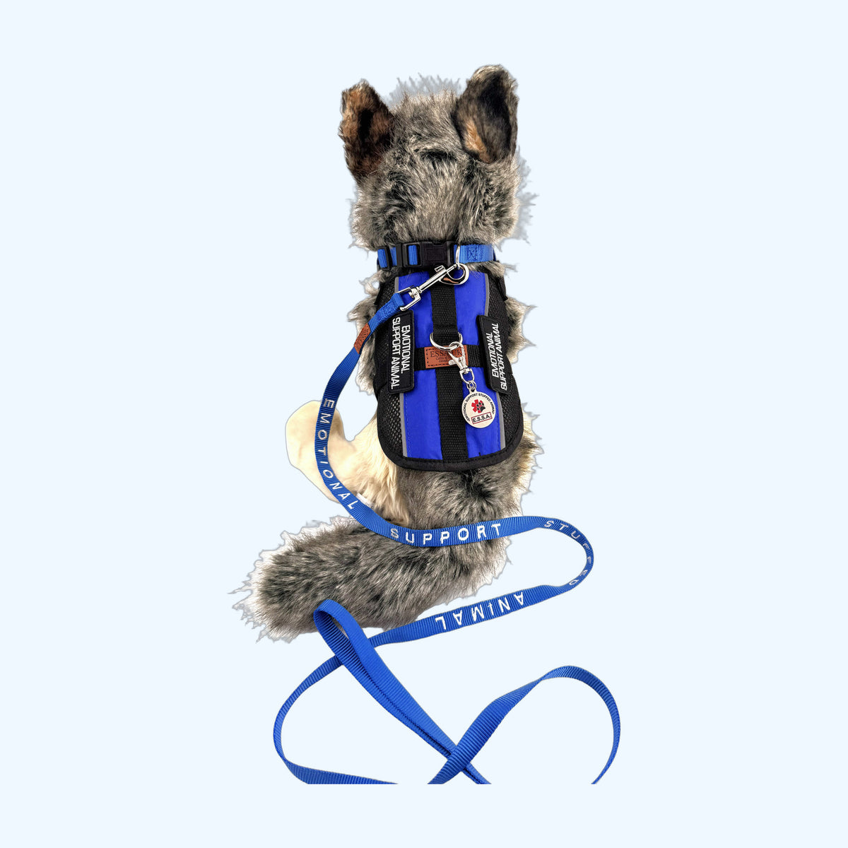 Blue ESSA Awareness Kit collar, tag and leash clipped to ESSA harness, harness not included