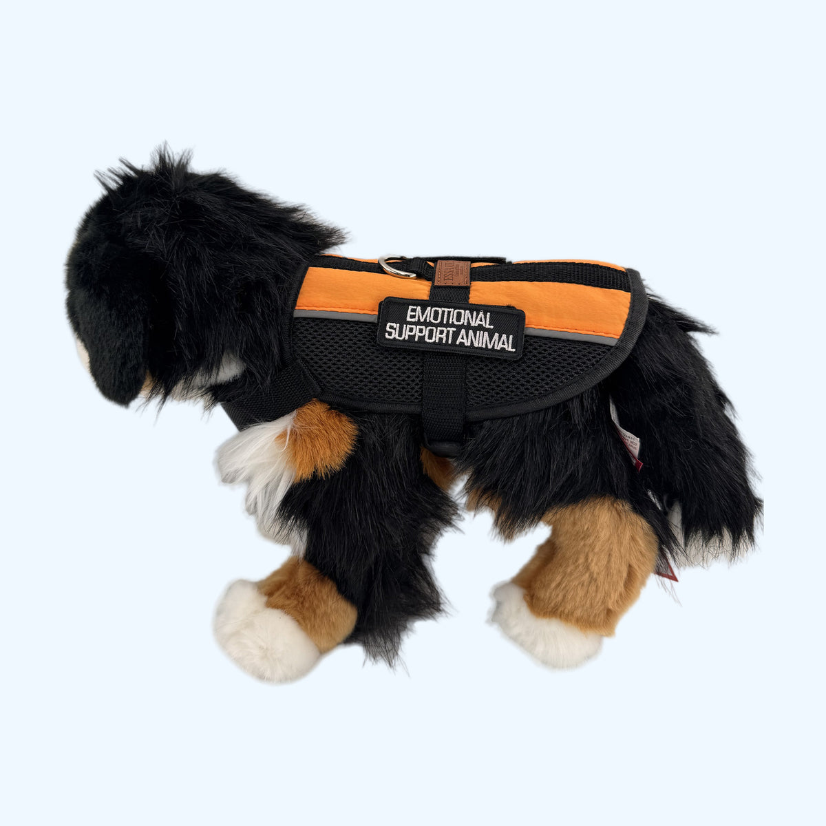 Orange ESSA Harness for Medium and Large on a Bernese plush dog with adjustable chest strap