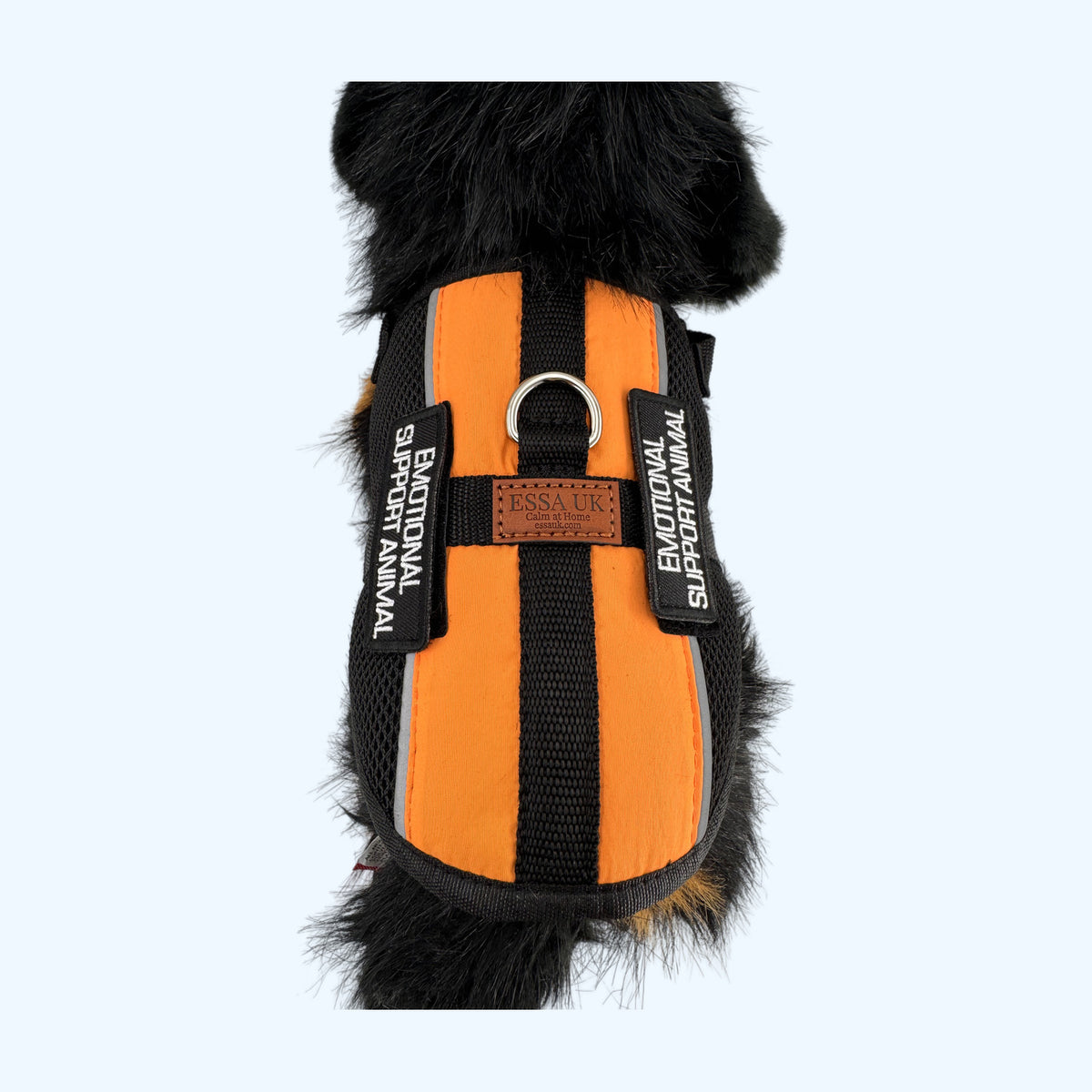 Orange ESSA Harness for Medium and Large top view with ESSA UK leather tag and metal ring