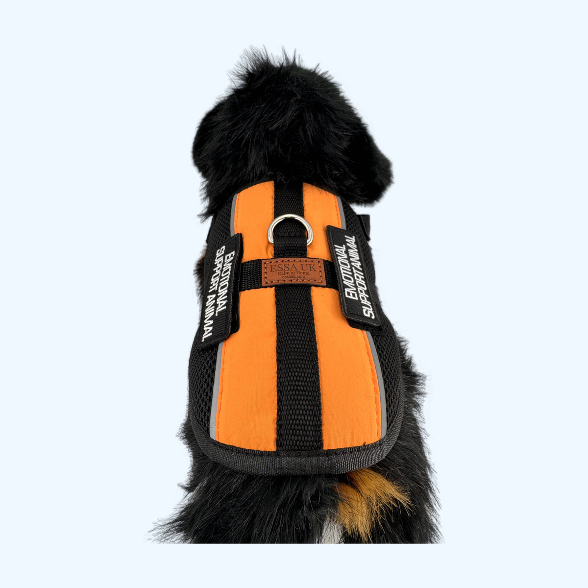 Orange ESSA Harness for Medium and Large top view on a Bernese plush dog