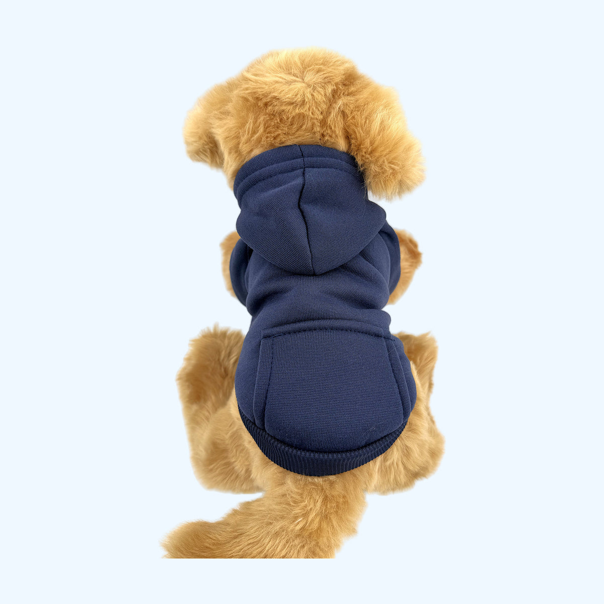 Navy ESSA Hoodie from behind showing the hood on a Medium plush dog