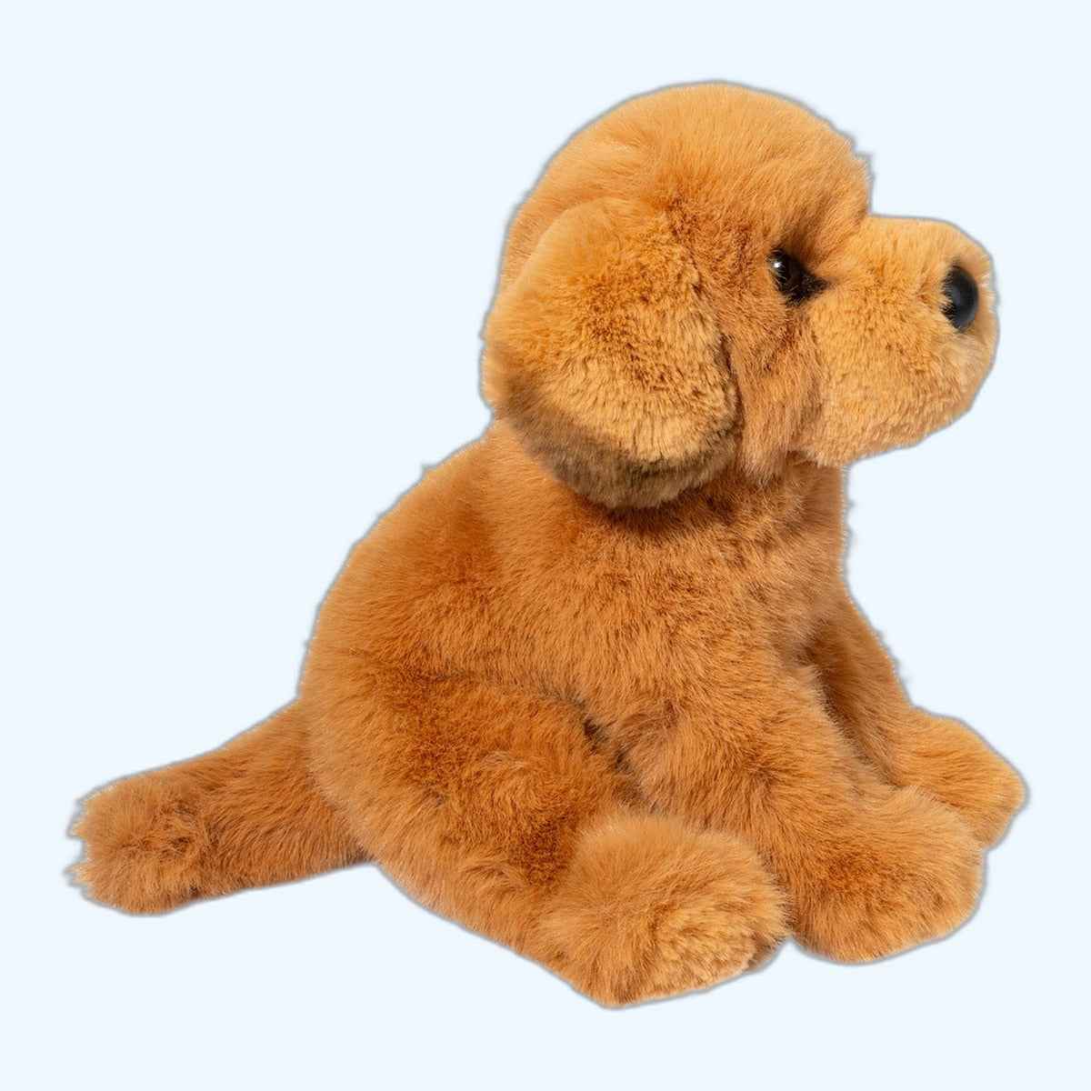Douglas Essa August Golden Retriever – UK Stock, Free UK Delivery & Fast Dispatch | ESSA UK