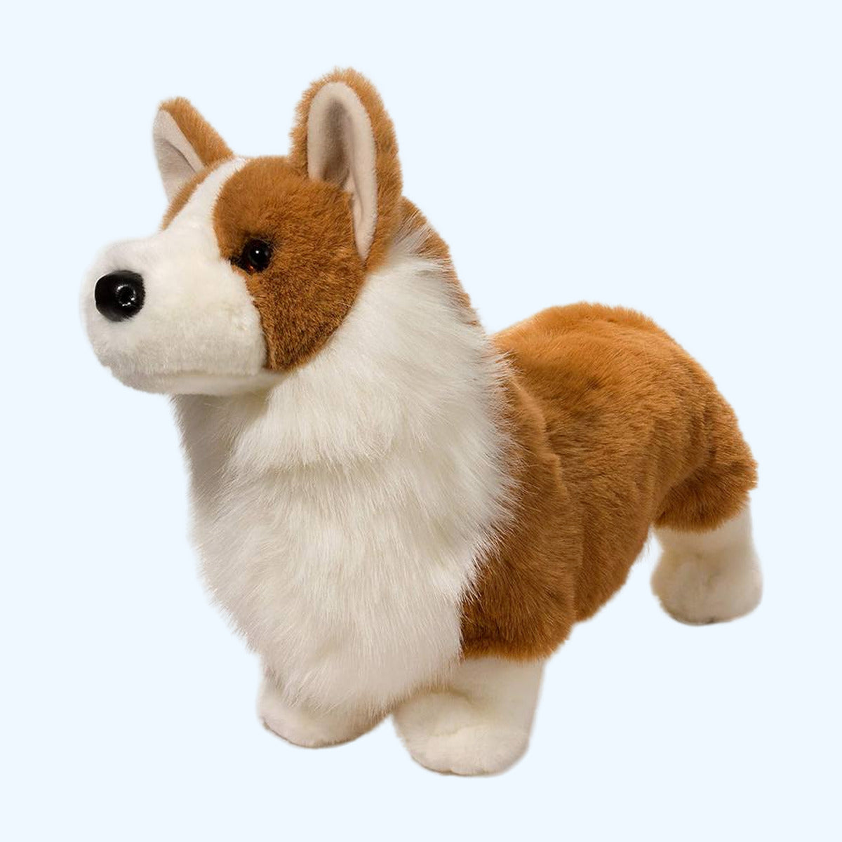 Douglas Essa Chadwick Corgi plush angled view with fluffy white chest and upright ears