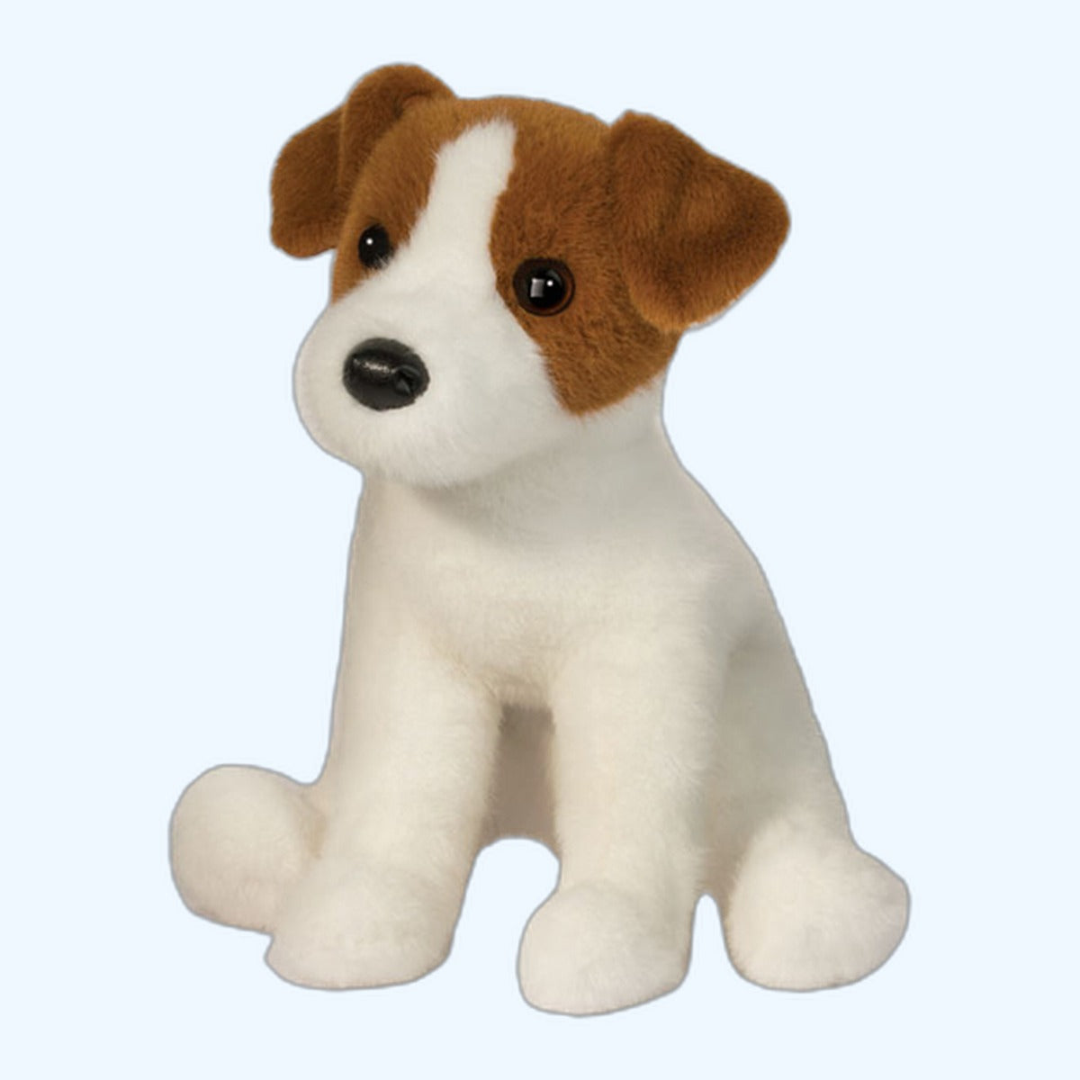 Douglas Essa Fiona Jack Russell Terrier – ESSA UK