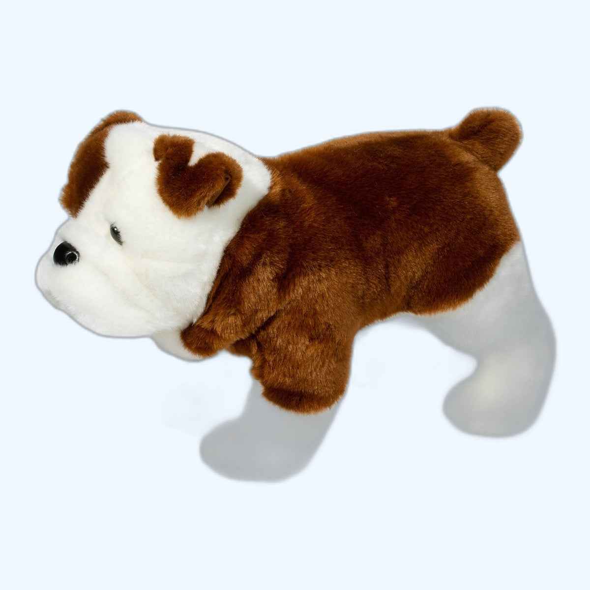 Douglas Essa Hardy Bulldog – UK Stock, Free UK Delivery & Fast Dispatch | ESSA UK