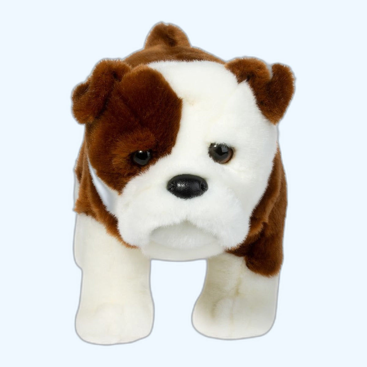Douglas Essa Hardy Bulldog – ESSA UK