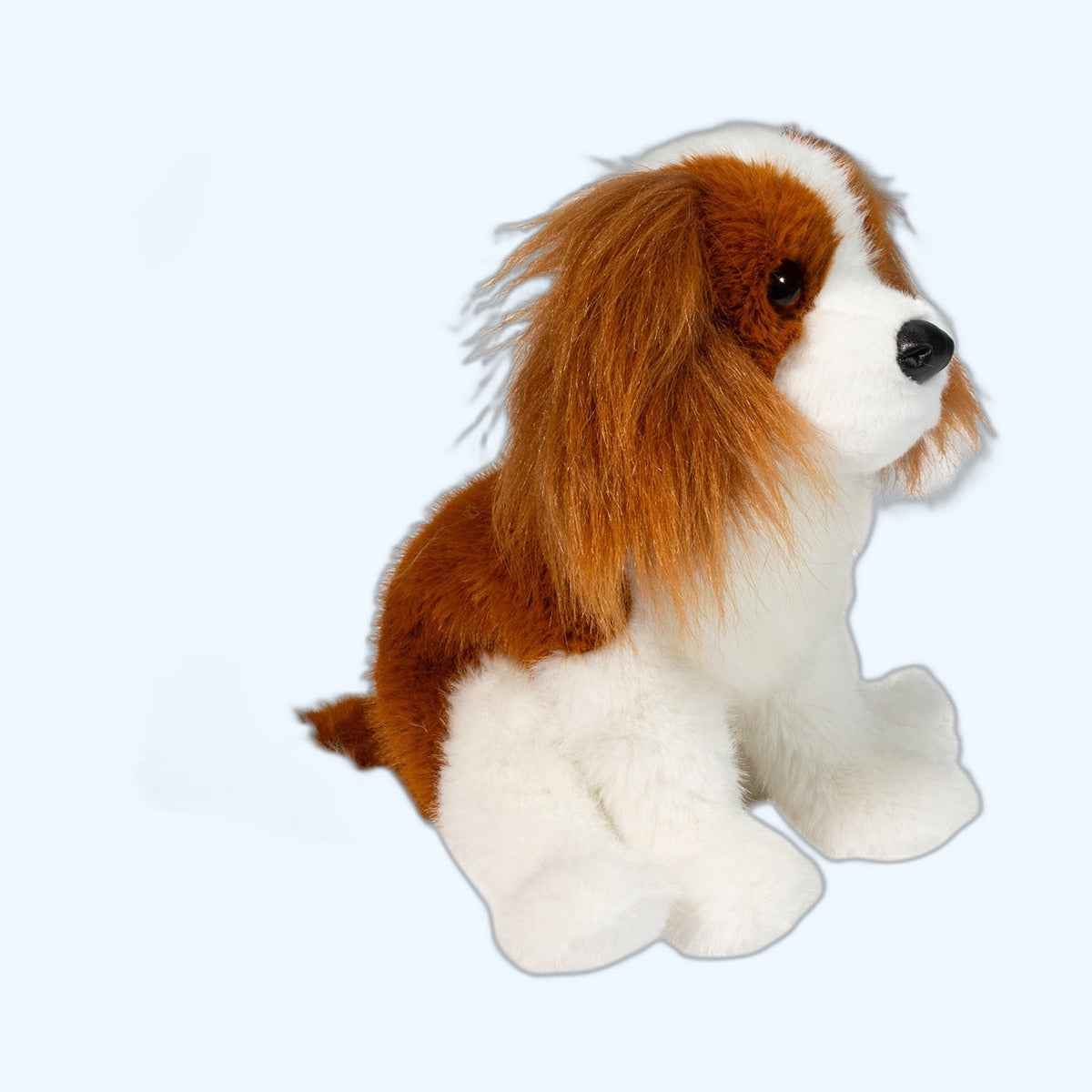 Douglas Essa Kingsley Cavalier King Charles Spaniel – UK Stock, Free UK Delivery & Fast Dispatch | ESSA UK