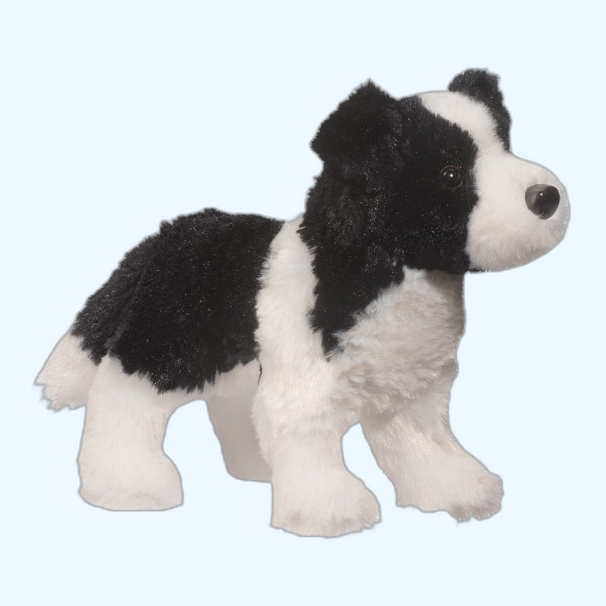 Douglas Essa Meadow Border Collie – ESSA UK