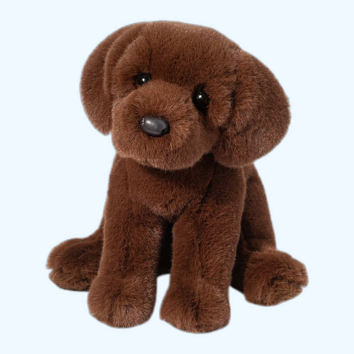 Douglas Essa Zoom Chocolate Lab – ESSA UK