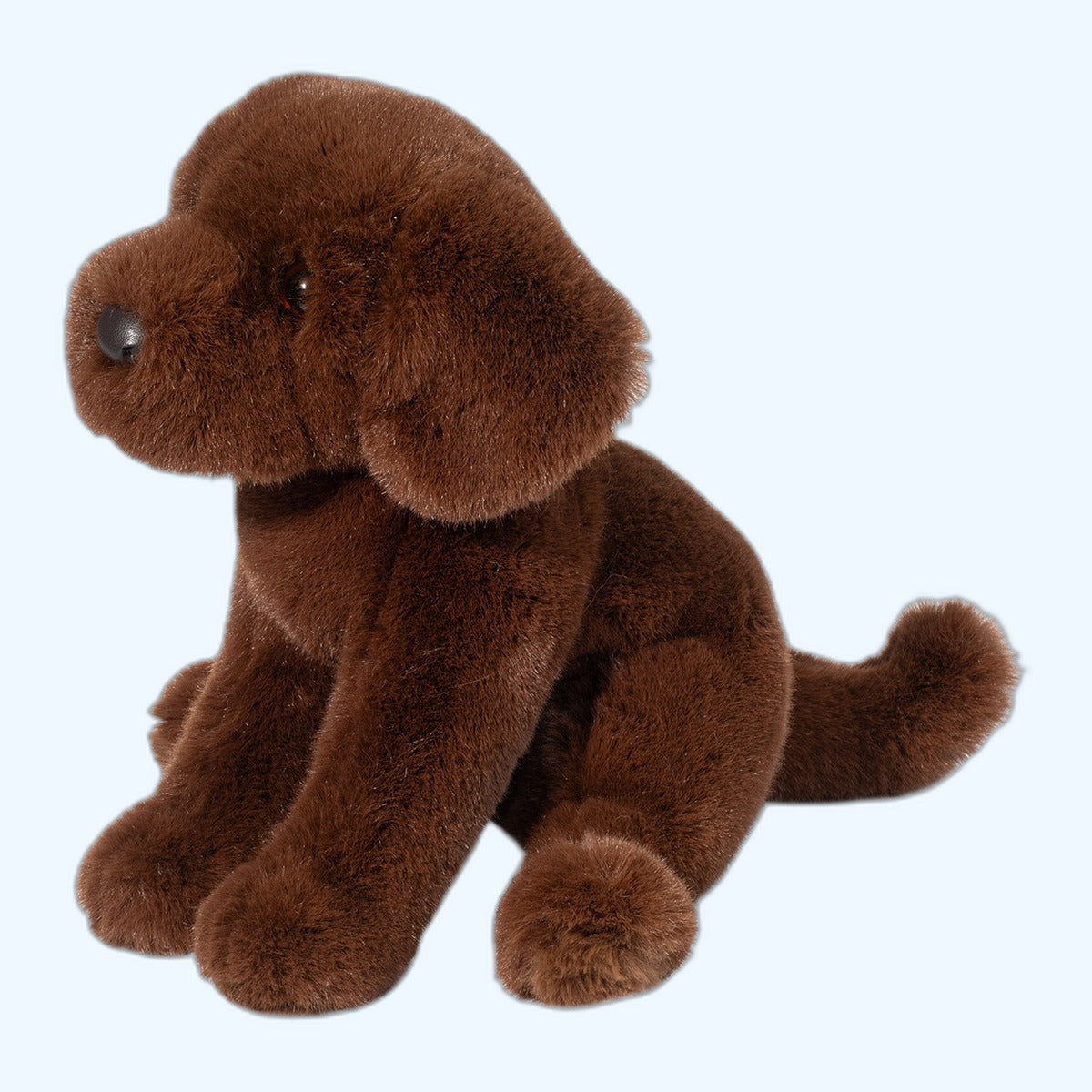 Douglas Essa Zoom Chocolate Lab – ESSA UK